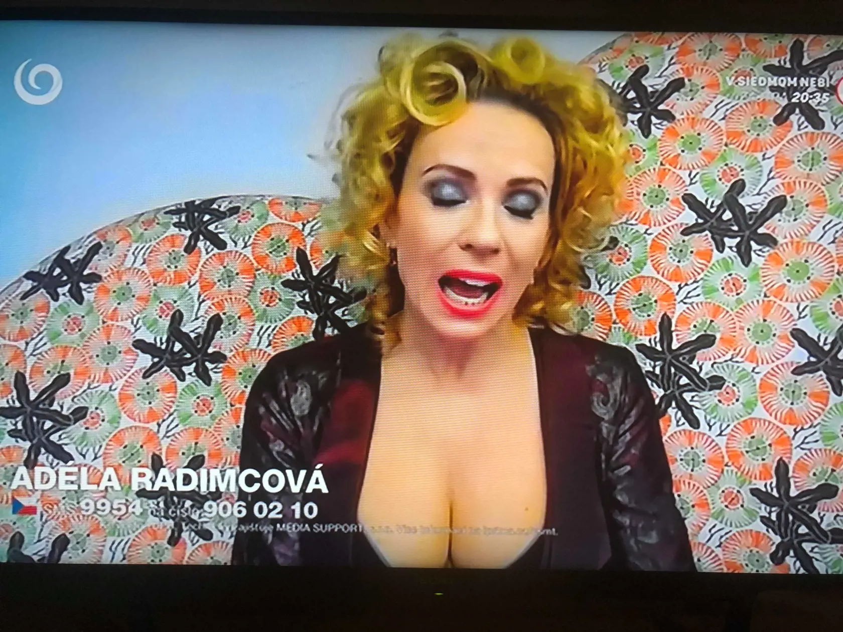 Diana Mórová cez Skype.