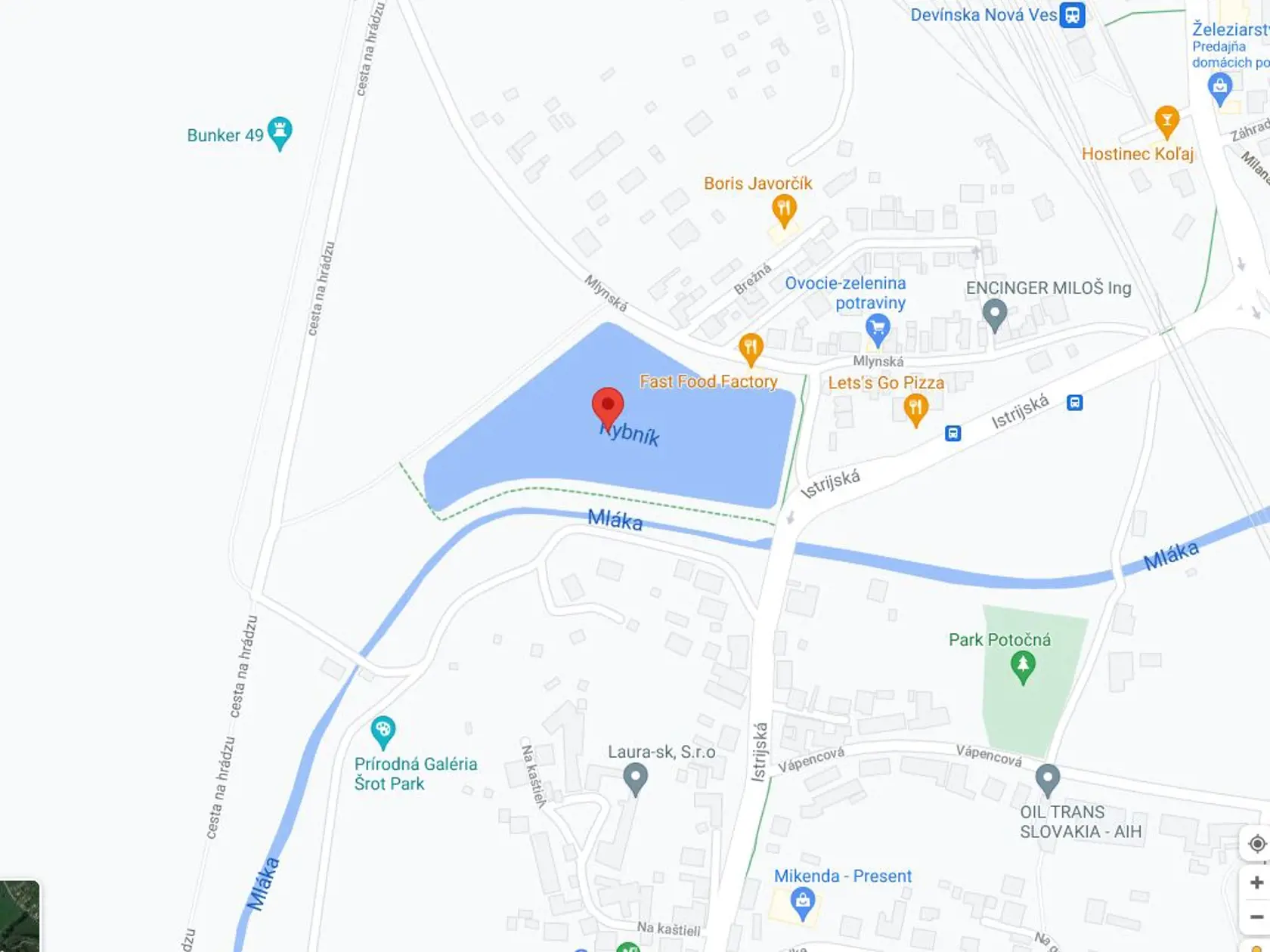 Devínske jazero zamorené larvami komárov dostalo v stredu dve dávky BTI z dronu.