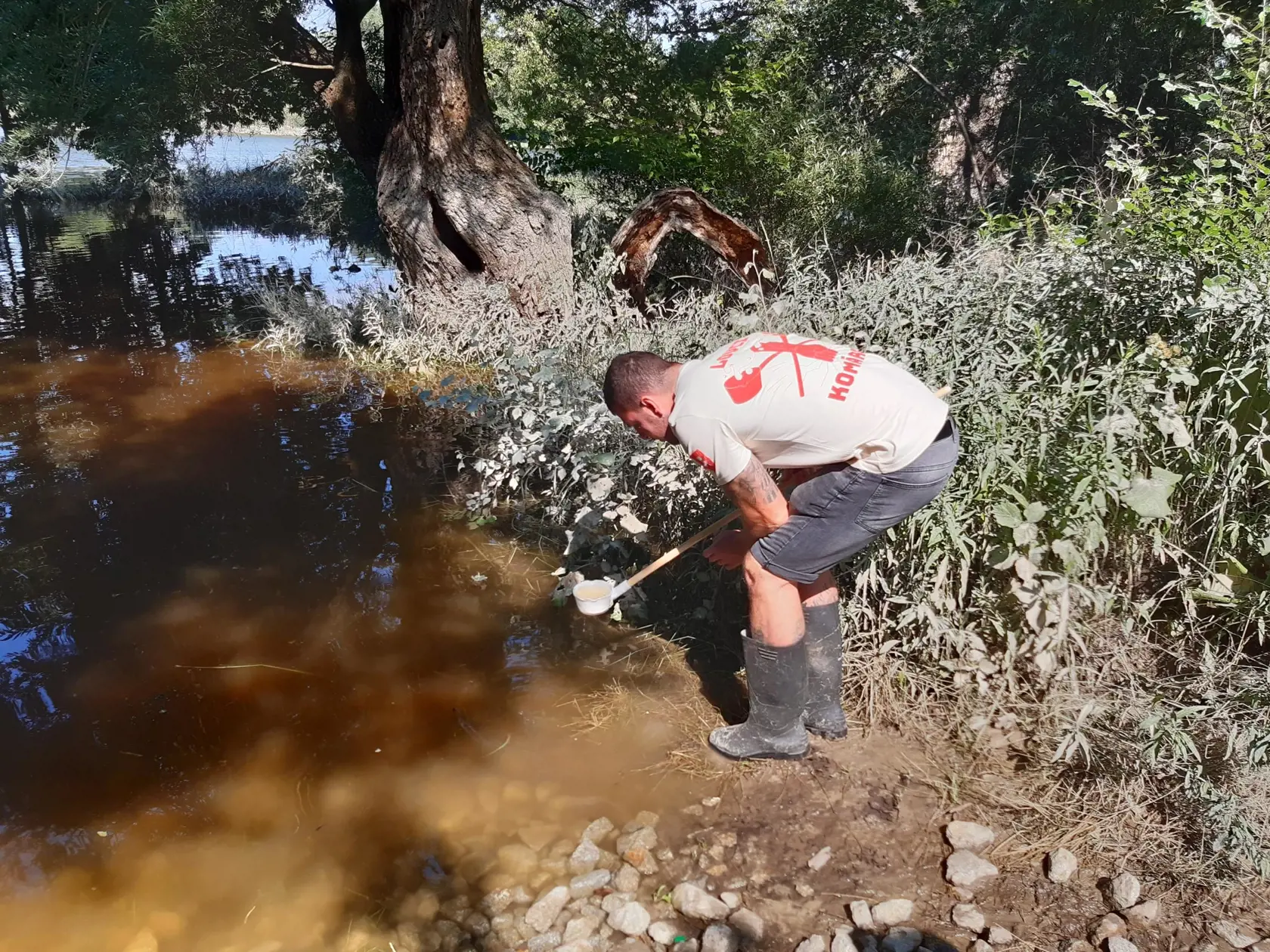 Keď lovci komárov nájdu v jednej naberačke viac ako 7 lariev, treba začať s postrekmi.