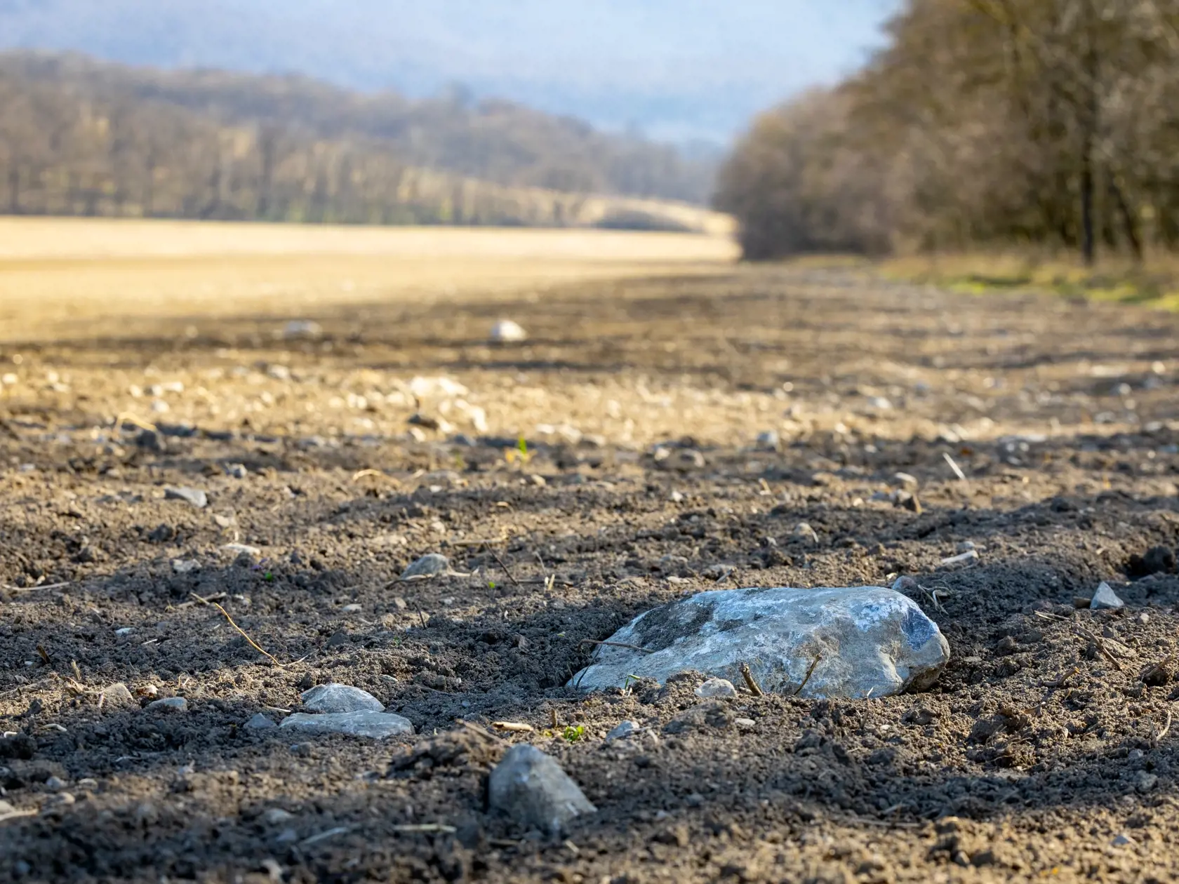 Extréme dlhé obdobie sucha bez zrážok zapríčinilo nedostatok vlahy, čo spôsobuje problém farmárom a lesným hospodárom na Záhorí.