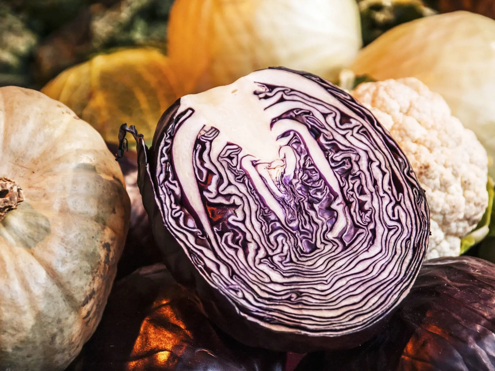 Red Cabbage and Vegetables