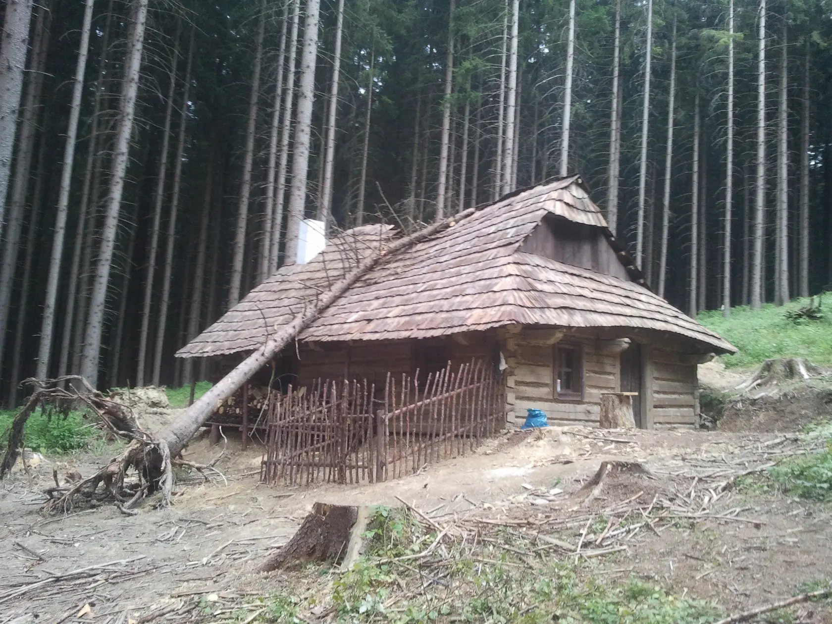 Ako z rozprávky: Drevenica z filmu Sedem zhavranených bratov.