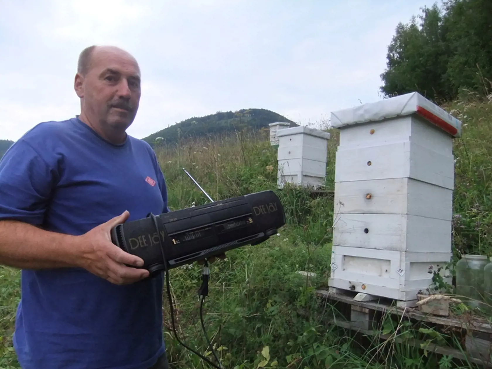 SUPER VYNÁLEZ: Včelár Miroslav Káčerík na noc zapína rádio, ktoré šelmy plaší.