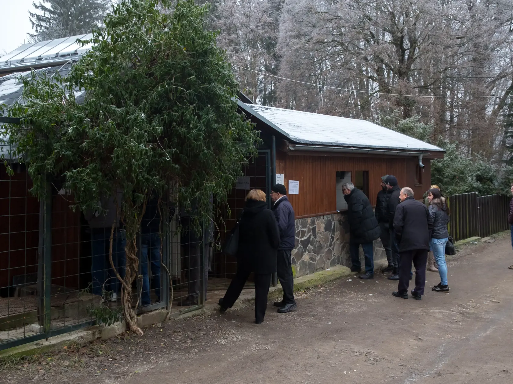 Stupavské rybárstvo Vaicenbacher. Celoročný predajca sladkovodných rýb zažíva najväčší nápor v predvianočnom období.