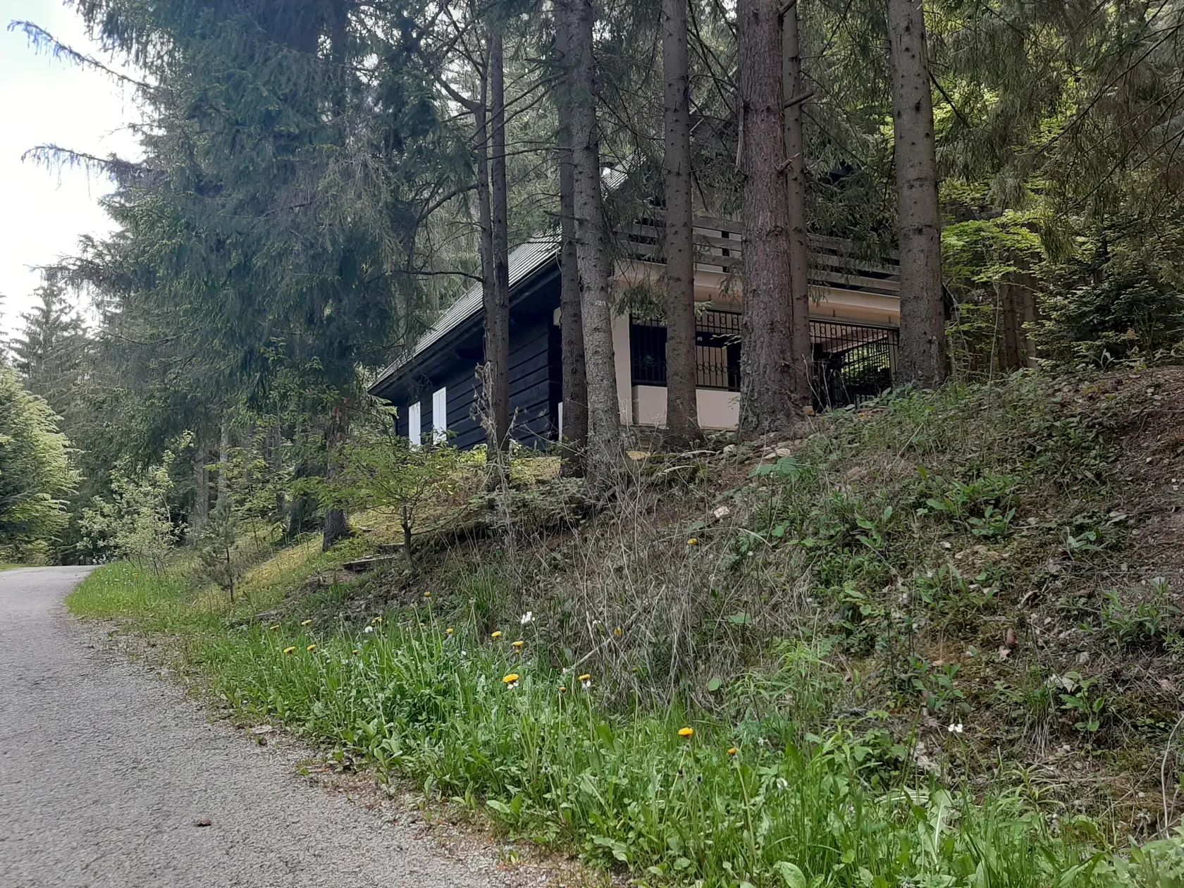 Prístupová cesta ku chate ministerky Kolíkovej