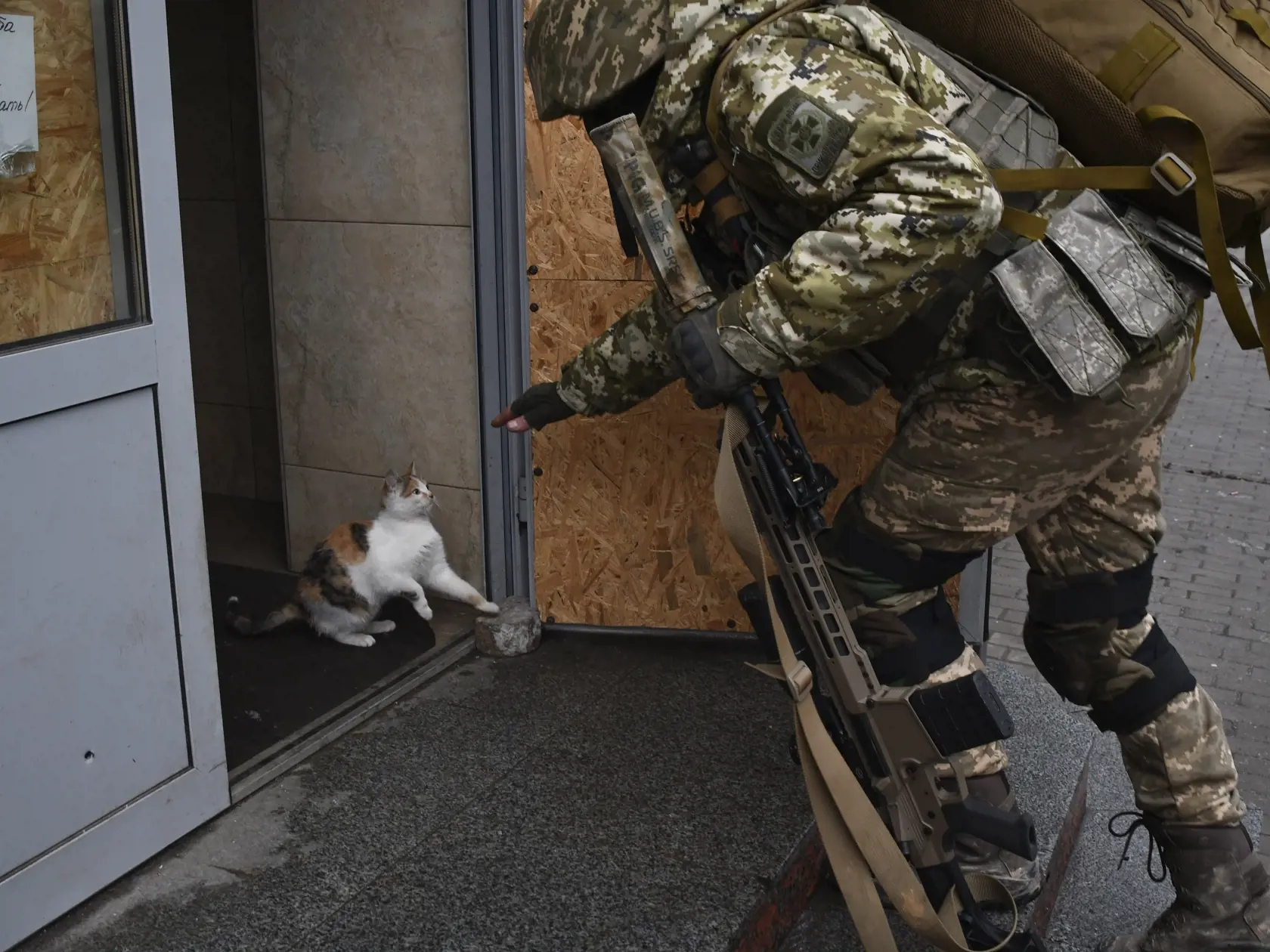 Ukrajinský vojak sa hrá s mačkou v opustenom obchode, na mieste najťažších bojov s ruskými jednotkami, v meste Bachmut na Donbase na východe Ukrajiny 15. decembra 2022.