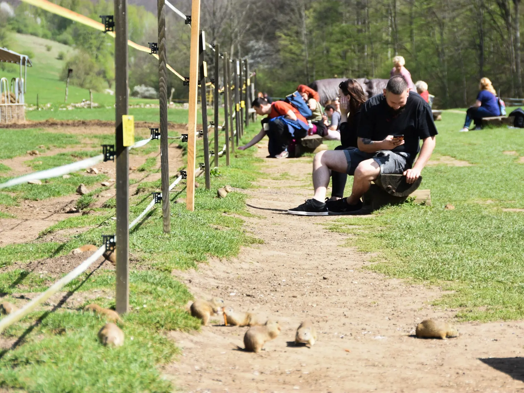Pri sysľovisku Biele vody na Muránskej planine vznikol aj rodinný park s názvom Obrovisko.