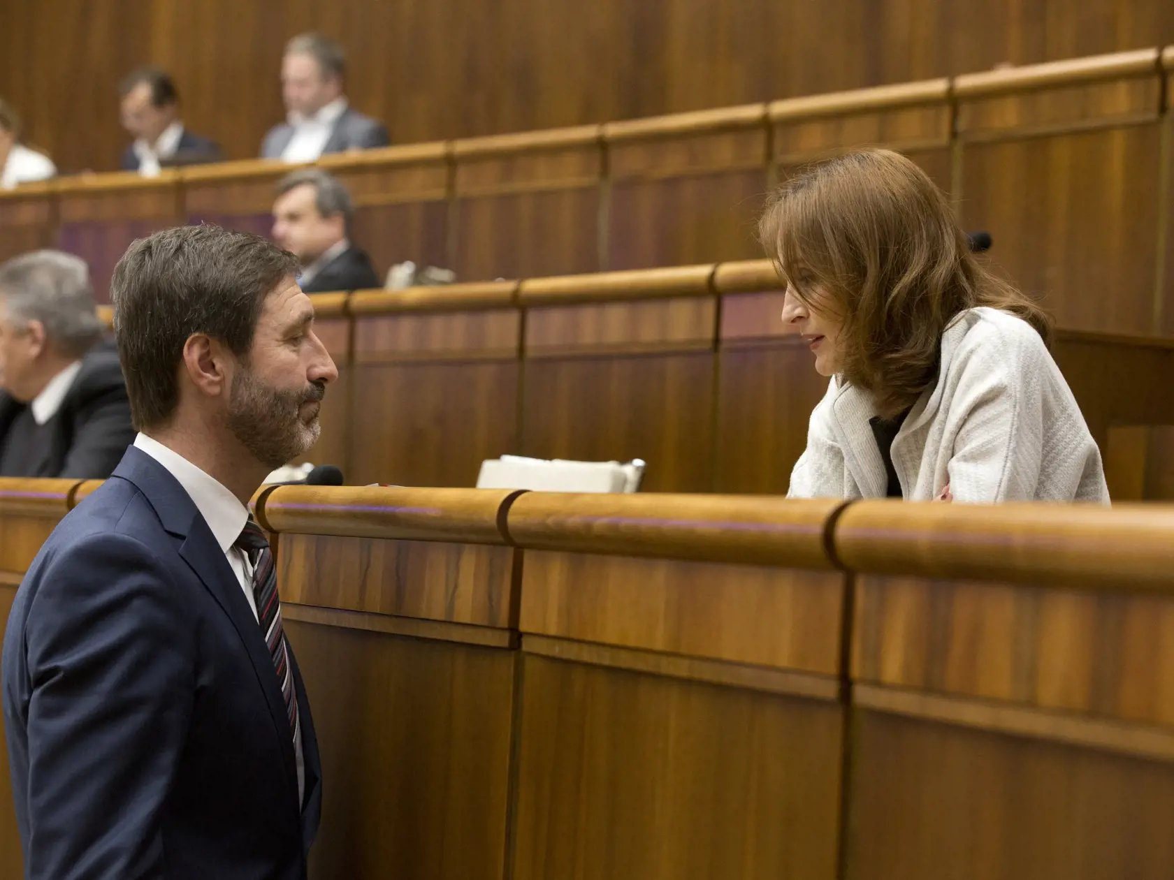 Parlament , 42 schôdza, odvolávanie ministerky školstva Martiny Lubyovej
Na obr. Andrea Kálavská 