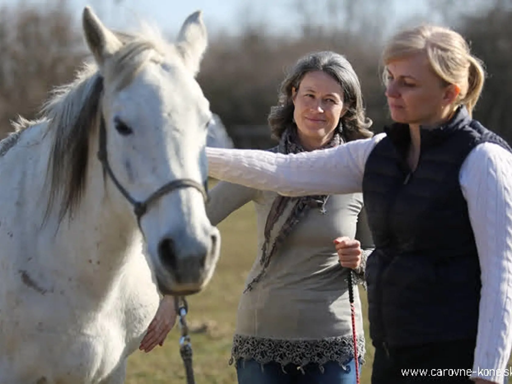 Kone nie sú iba na jazdenie! Daniela Tejkalová objavila ich úžasnú silu: Sú to skvelí učitelia