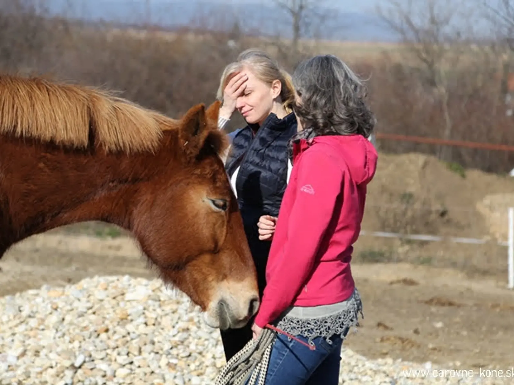 Kone nie sú iba na jazdenie! Daniela Tejkalová objavila ich úžasnú silu: Sú to skvelí učitelia