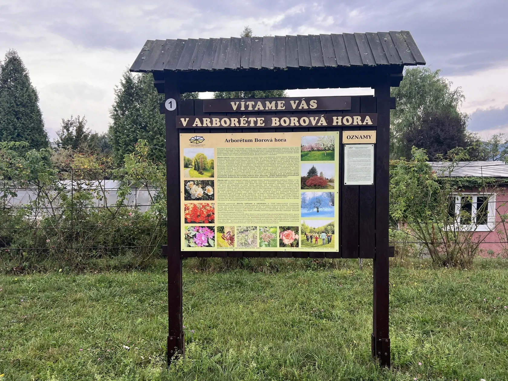 Klub kaktusárov, ktorý vznikol presne pred 50 rokmi, začal ako malá skupina mladých ľudí, no dnes je to klub s 40 členmi, z ktorých viacerí vydržali v tejto záľube.