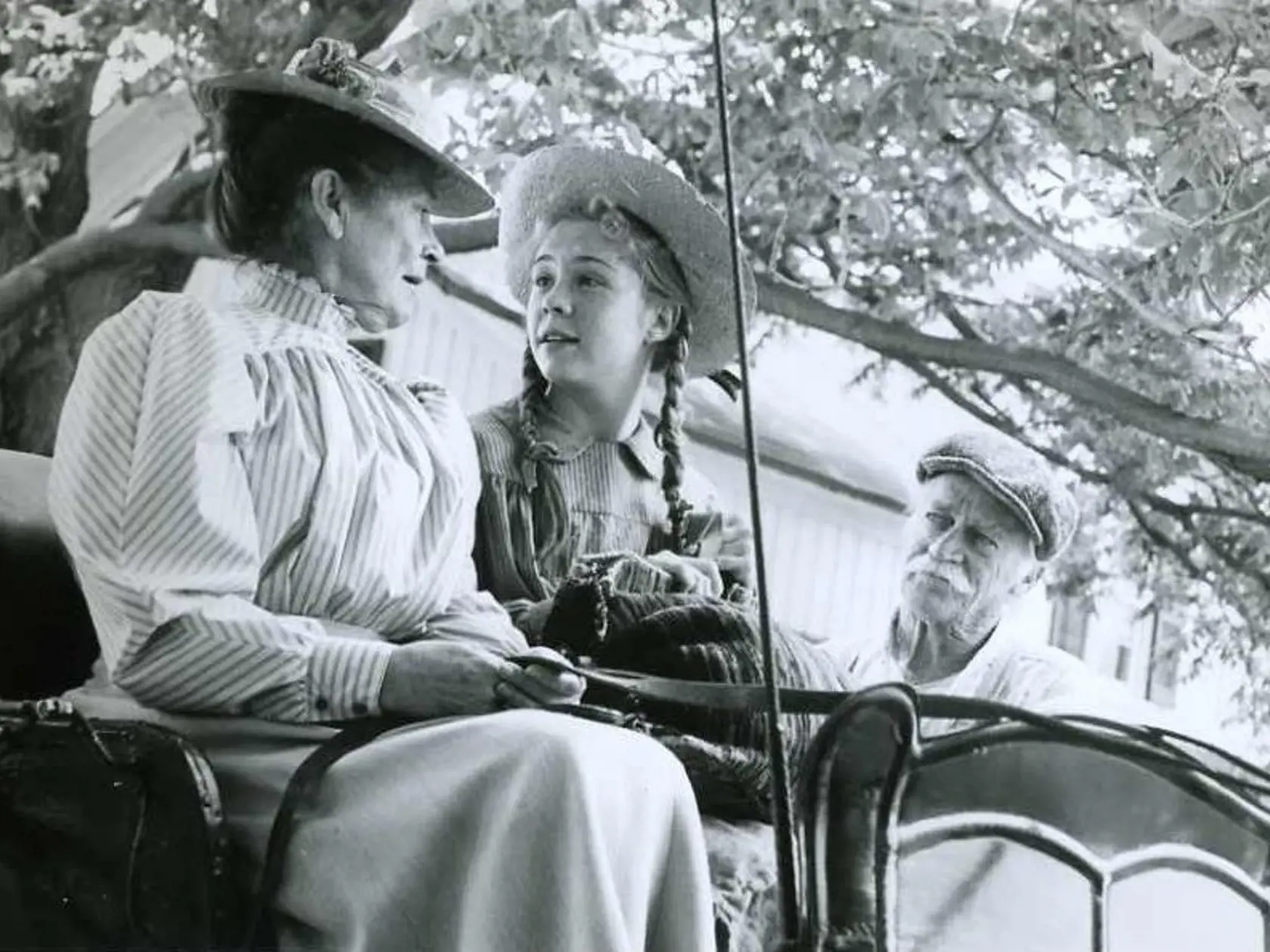 Anna zo Zeleného domu 