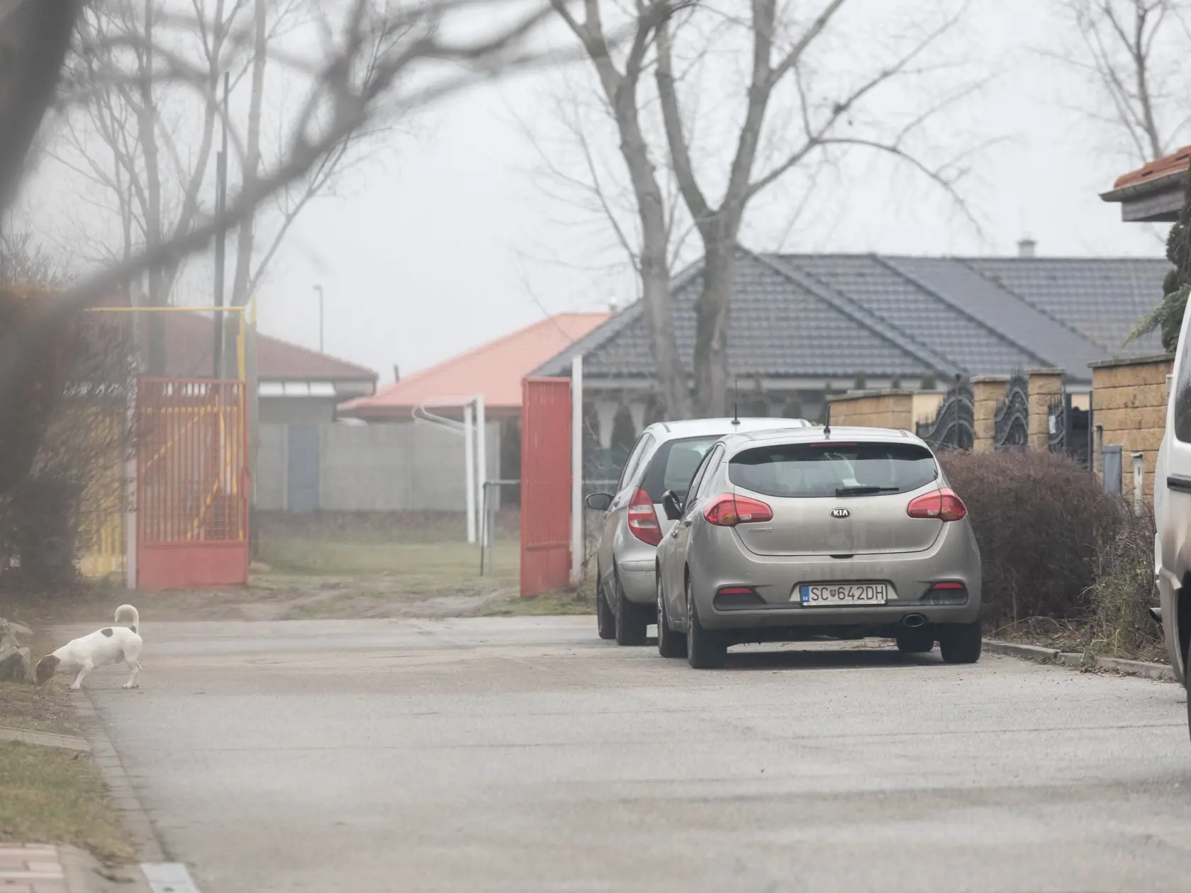 Bývalý generálny prokurátor Dobroslav Trnka deň po prepustení z cely policajného zaistenia v Nitre.