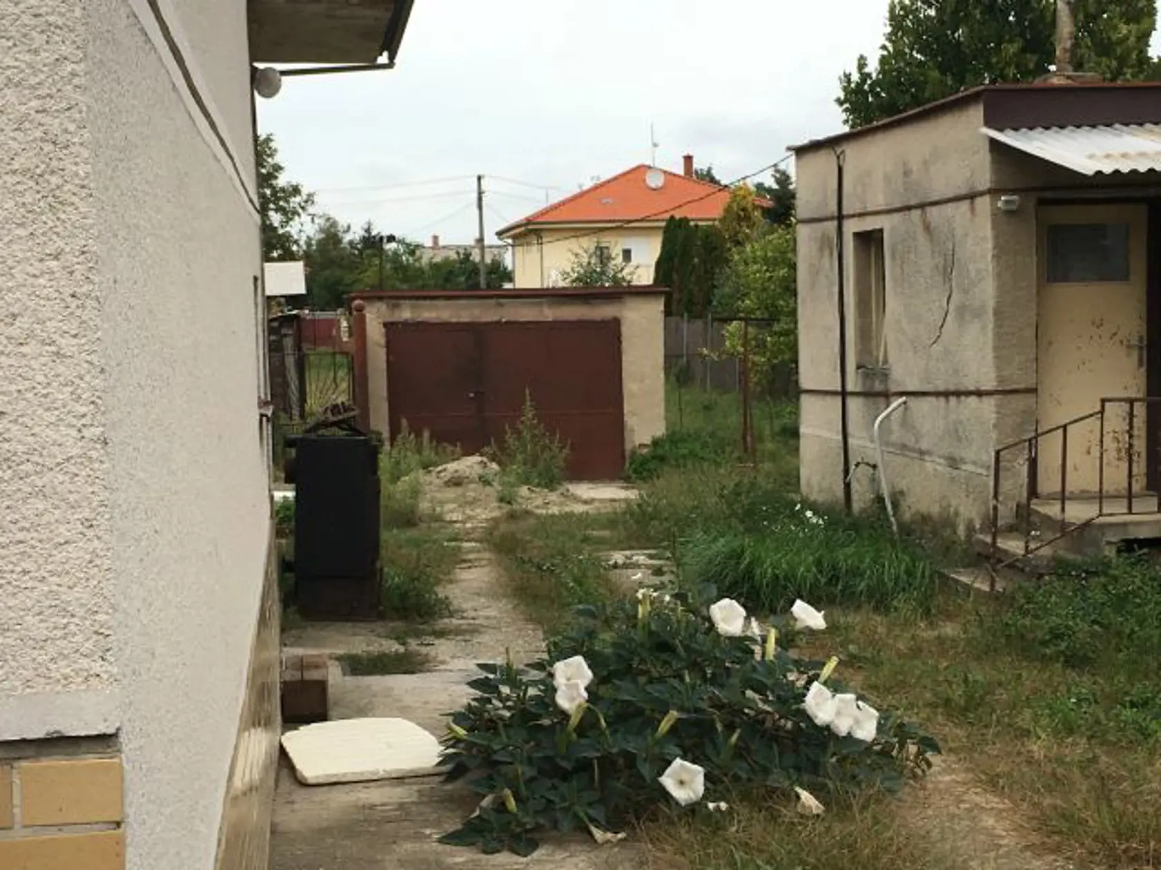 Pred domom Jána a Martiny sú stále kvety a sviečky