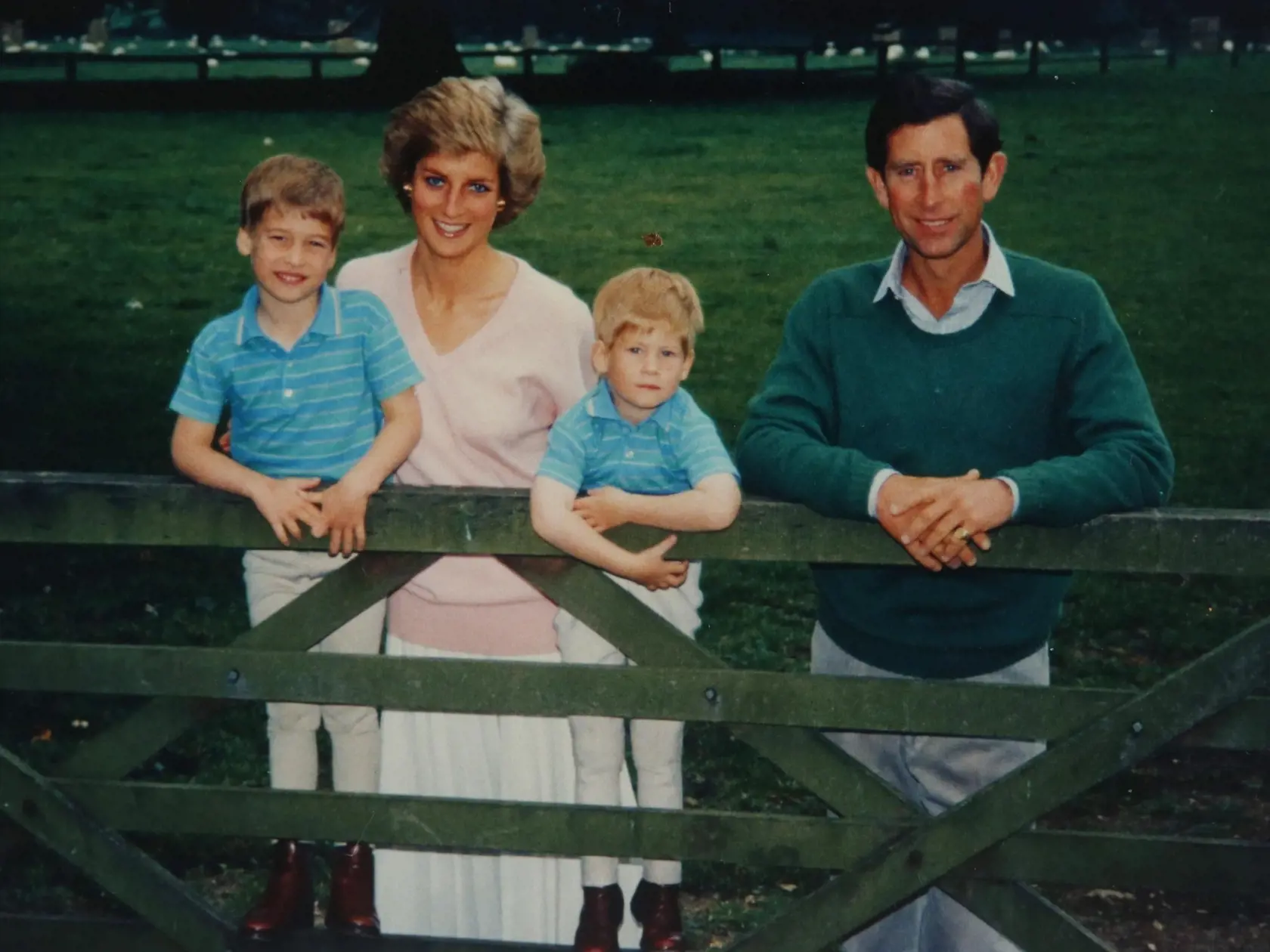 Princezná Diana, princ Charles a synovia William a Harry