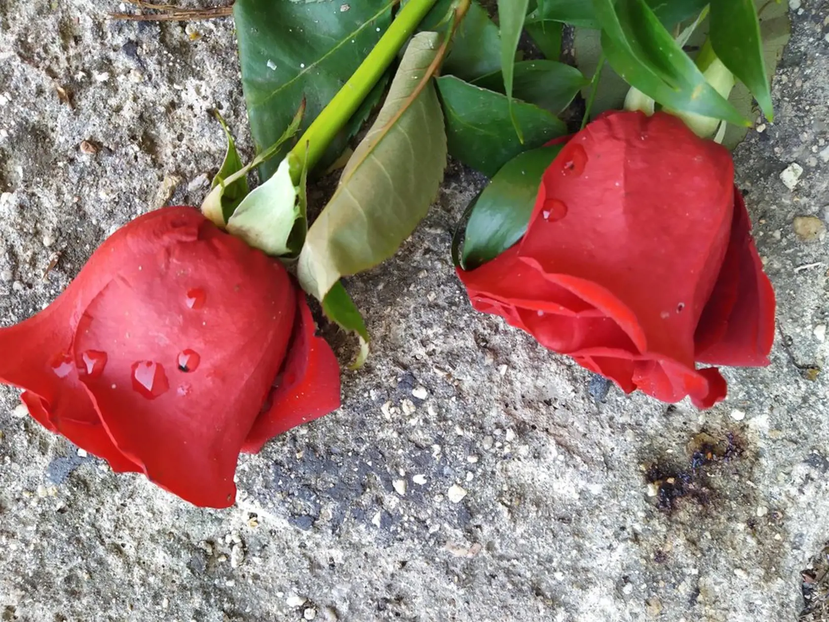 Na mieste brutálnej vraždy, kde vyhasol život mladého muža, zapaľujú ľudia sviečky a nosia kvetiny.