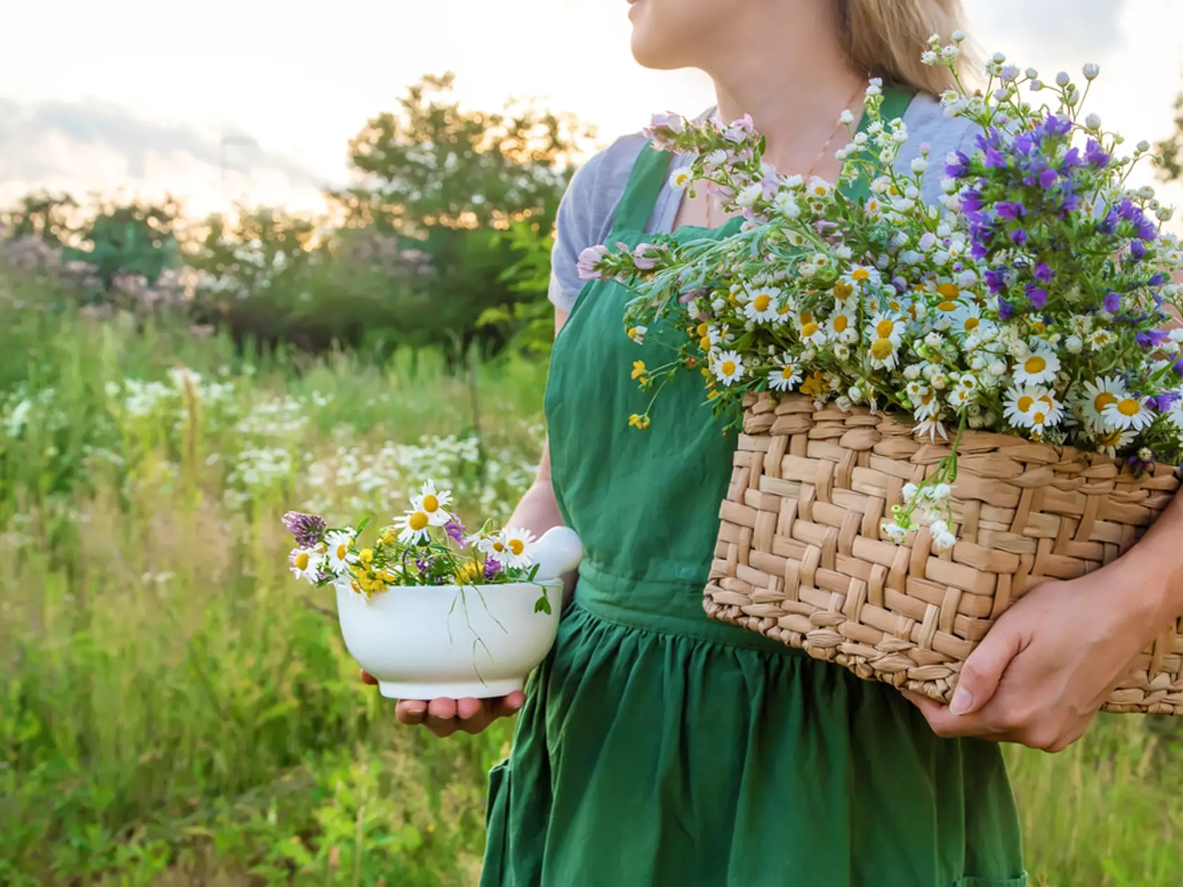 The,Woman,Collects,Medicinal,Herbs.,Selective,Focus.,Nature.
