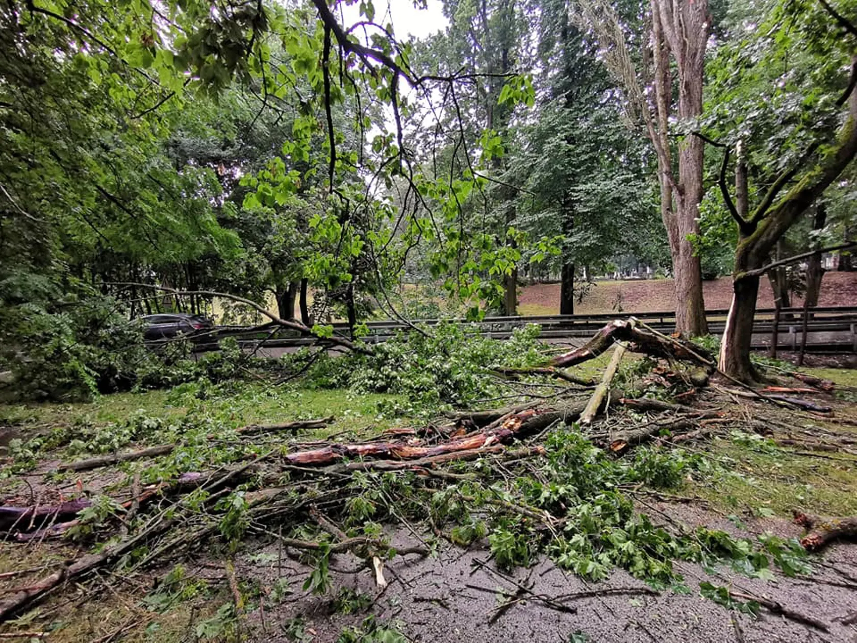 Veterná smršť narobila obrovské škody.