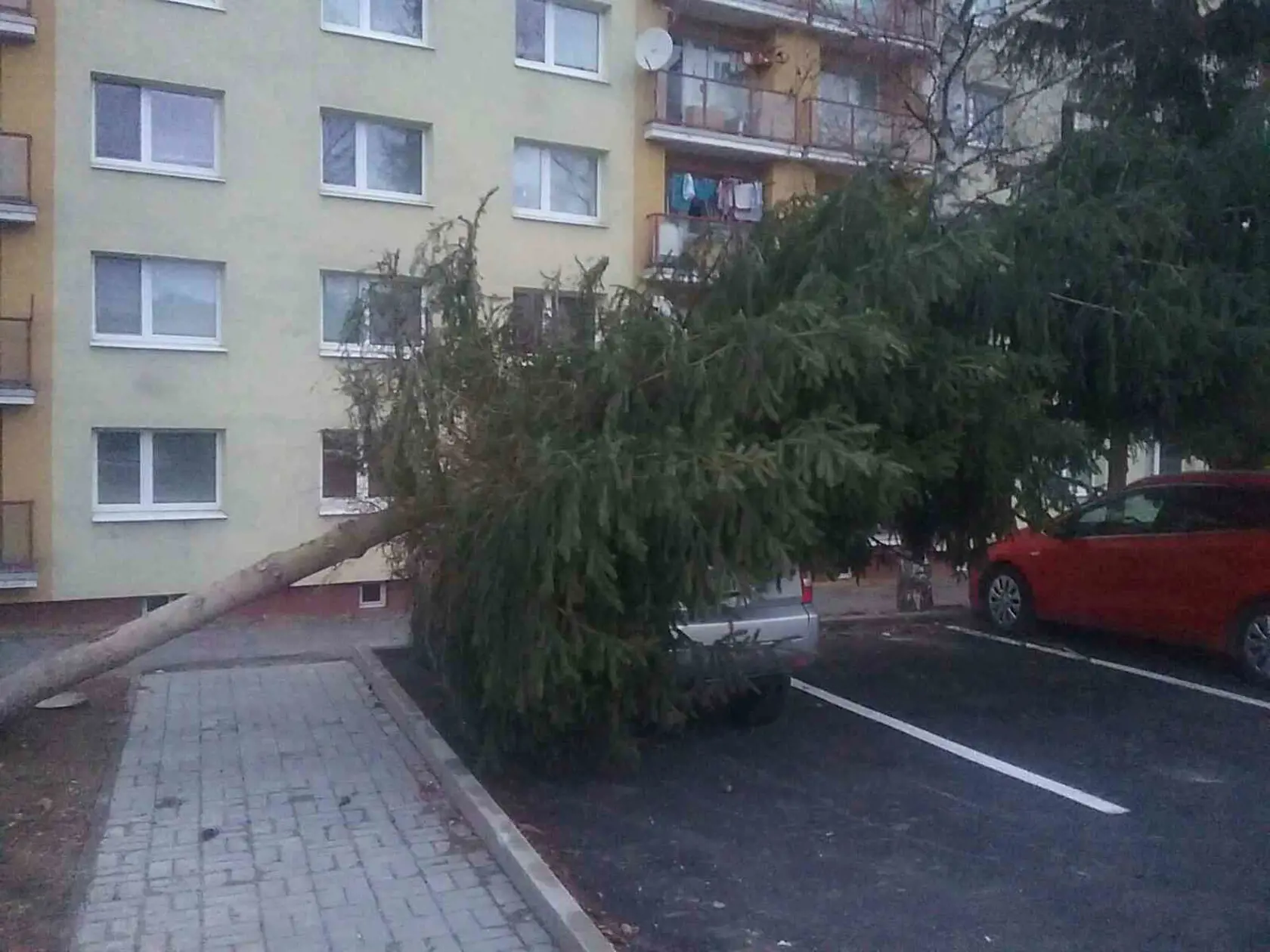 Hasiči museli v noci odstraňovali spadnuté stromy aj strhnuté strechy.
