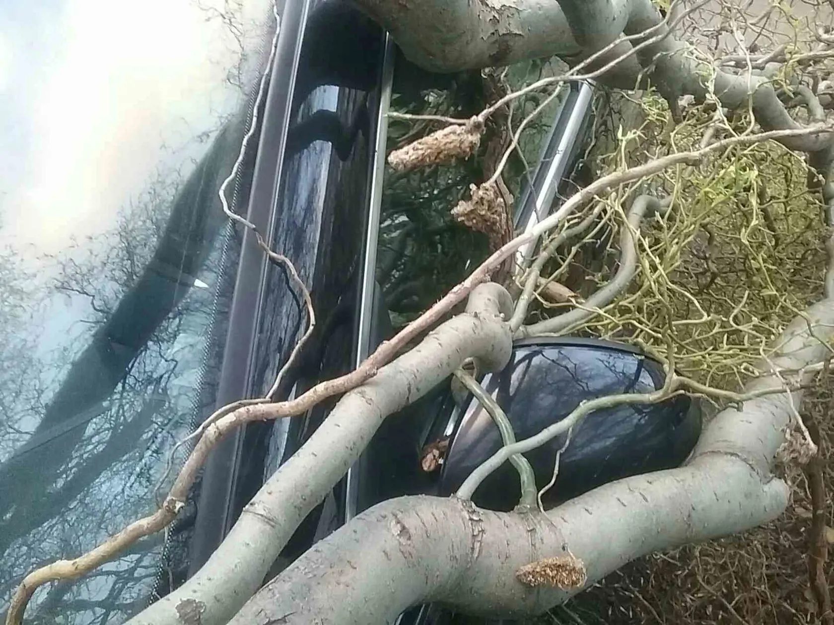 Hasiči museli v noci odstraňovali spadnuté stromy aj strhnuté strechy.