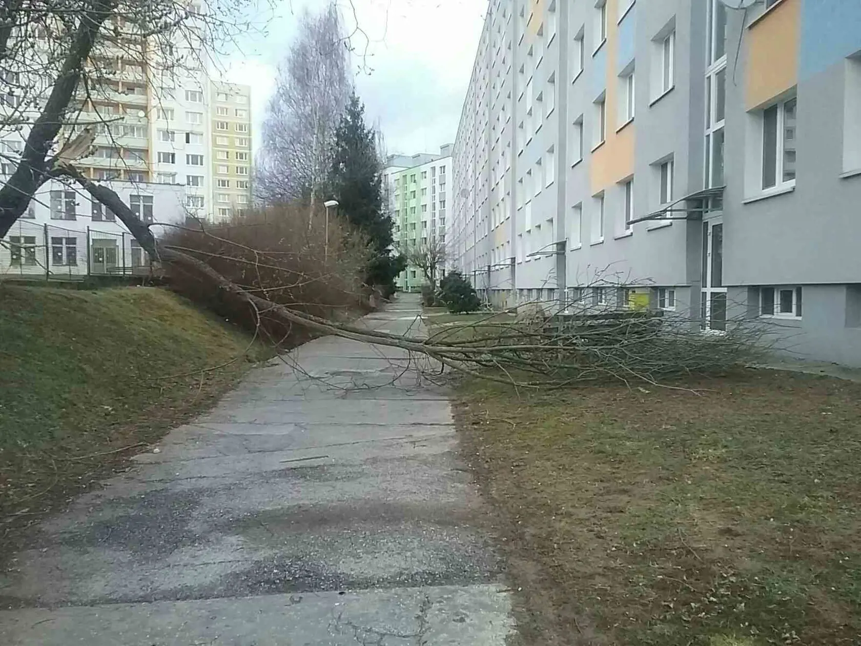 Hasiči museli v noci odstraňovali spadnuté stromy aj strhnuté strechy.