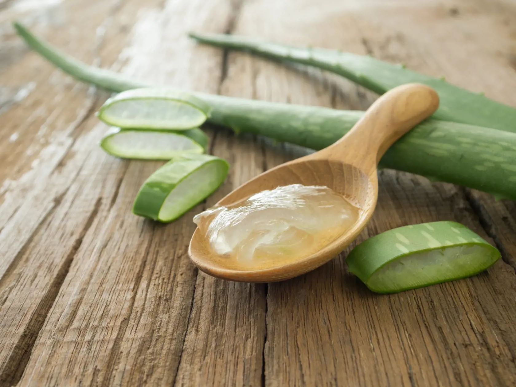 Aloe Vera je známe svojim širokým využitým.