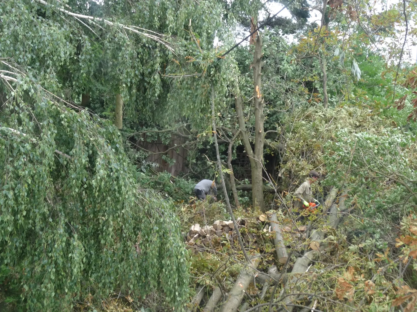 Partia chlapov odstraňovala popadané stromy.