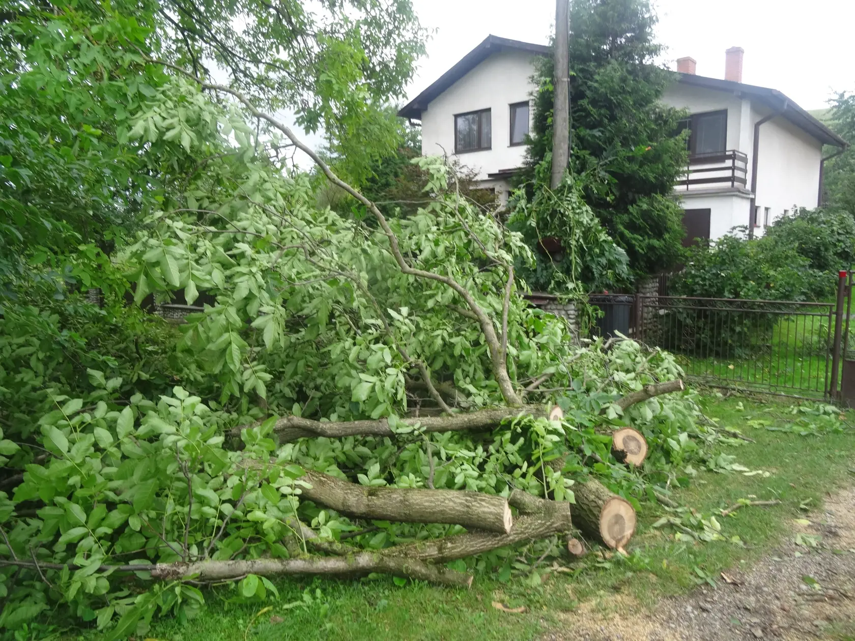 Všade kam sme sa pozreli boli pováľané stromy a konáre.