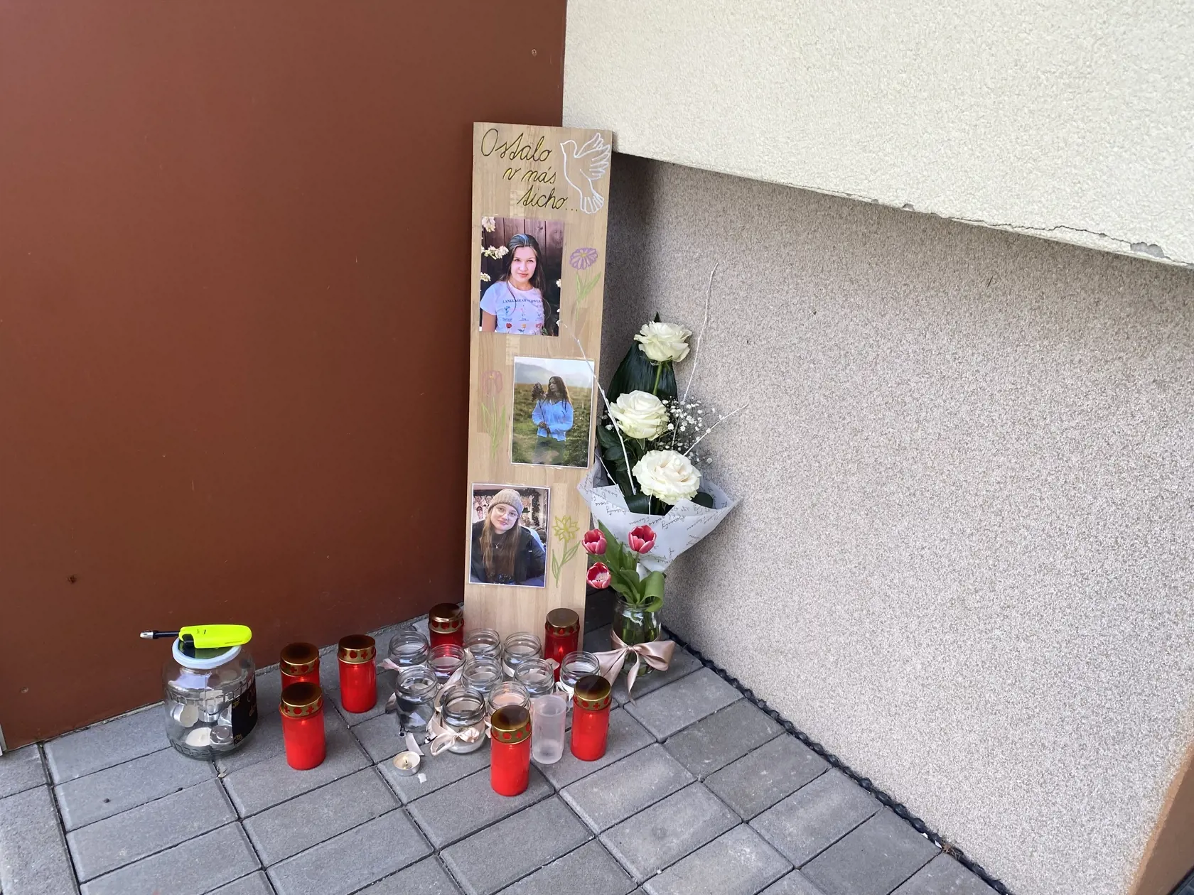 Dievčatám pripravili pietne miesto aj pred vchodom do Základnej umeleckej školy Jána Melkoviča v Starej Ľubovni, ktorú navštevovali. Zronený riaditeľ školy Ján Sivuľka vravel o Sofii ako o mimoriadnom speváckom talente.