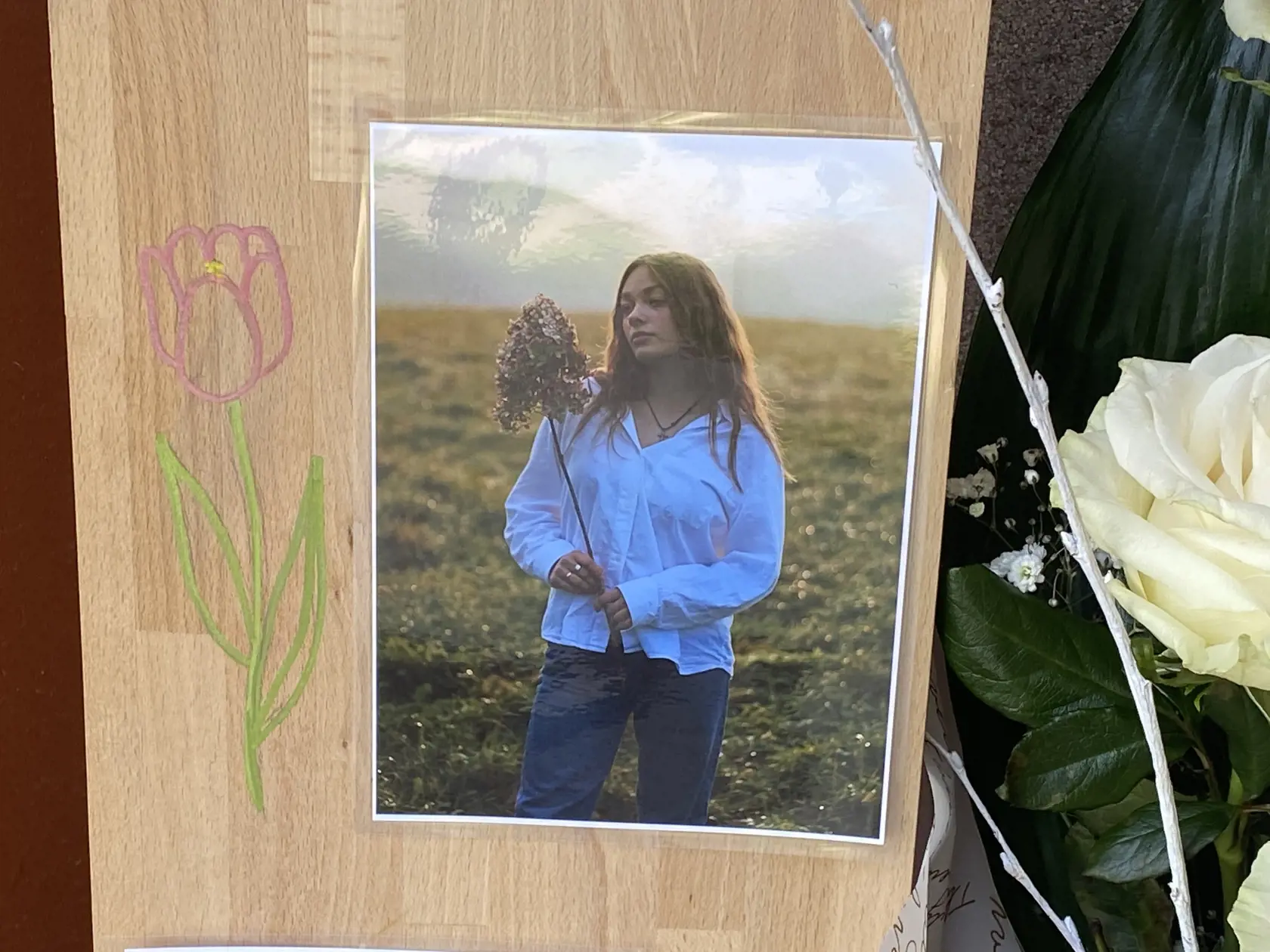 Sofia roky navštevovala Základnú umeleckú školu Jána Melkoviča, študovala popový spev, venovala sa audiovizuálnemu odboru aj dramatickému. Bola nadaná, vynikala aj v štúdiu na gymnáziu.