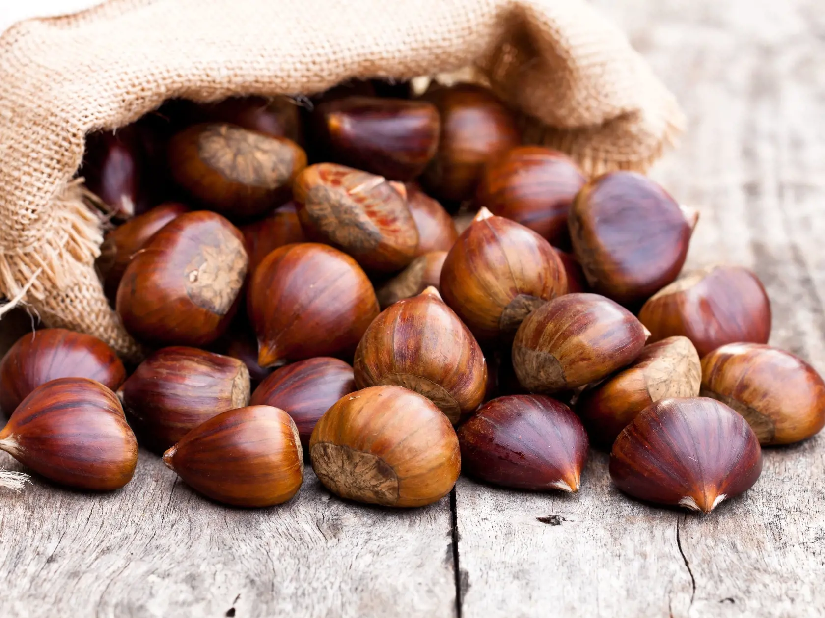 fresh  chestnuts in sack bag on the old wooden table
