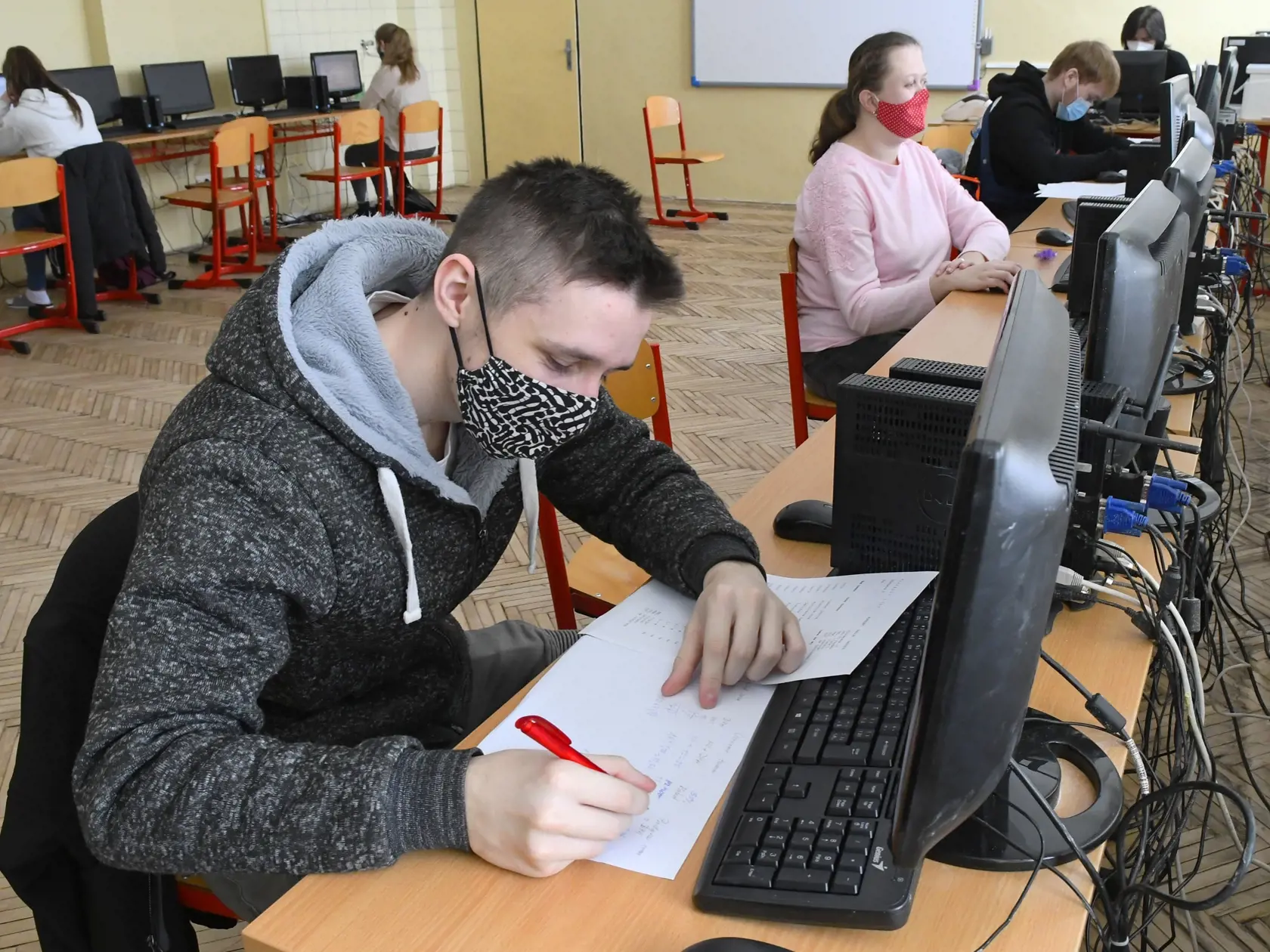 Najviac žiadostí podľa poskytnutých údajov z inšpektorátov práce sa v prípade vydaných povolení týkalo napríklad pozícií ako asistent animátora, pomoc animátorovi, pomocné práce pri organizovaní parkovania motorových vozidiel, pomocná sila pri archivácii dokumentov, zbieranie pohárov a tanierov, umytie riadu, utretie riadu, pozametanie priestorov, umytie priestorov, zber čučoriedok v sade či pomocné administratívne práce.