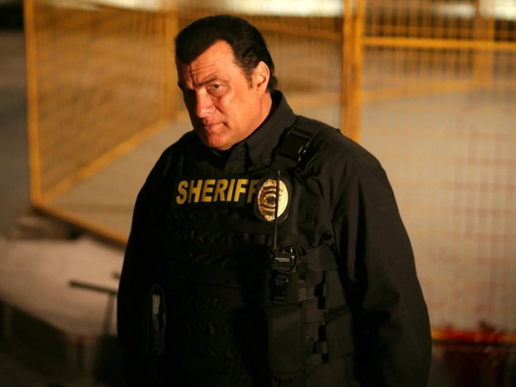 Steven Seagal si od Putina prevzal Rad priateľstva, jedno z najvyšších ruských štátnych vyznamenaní.