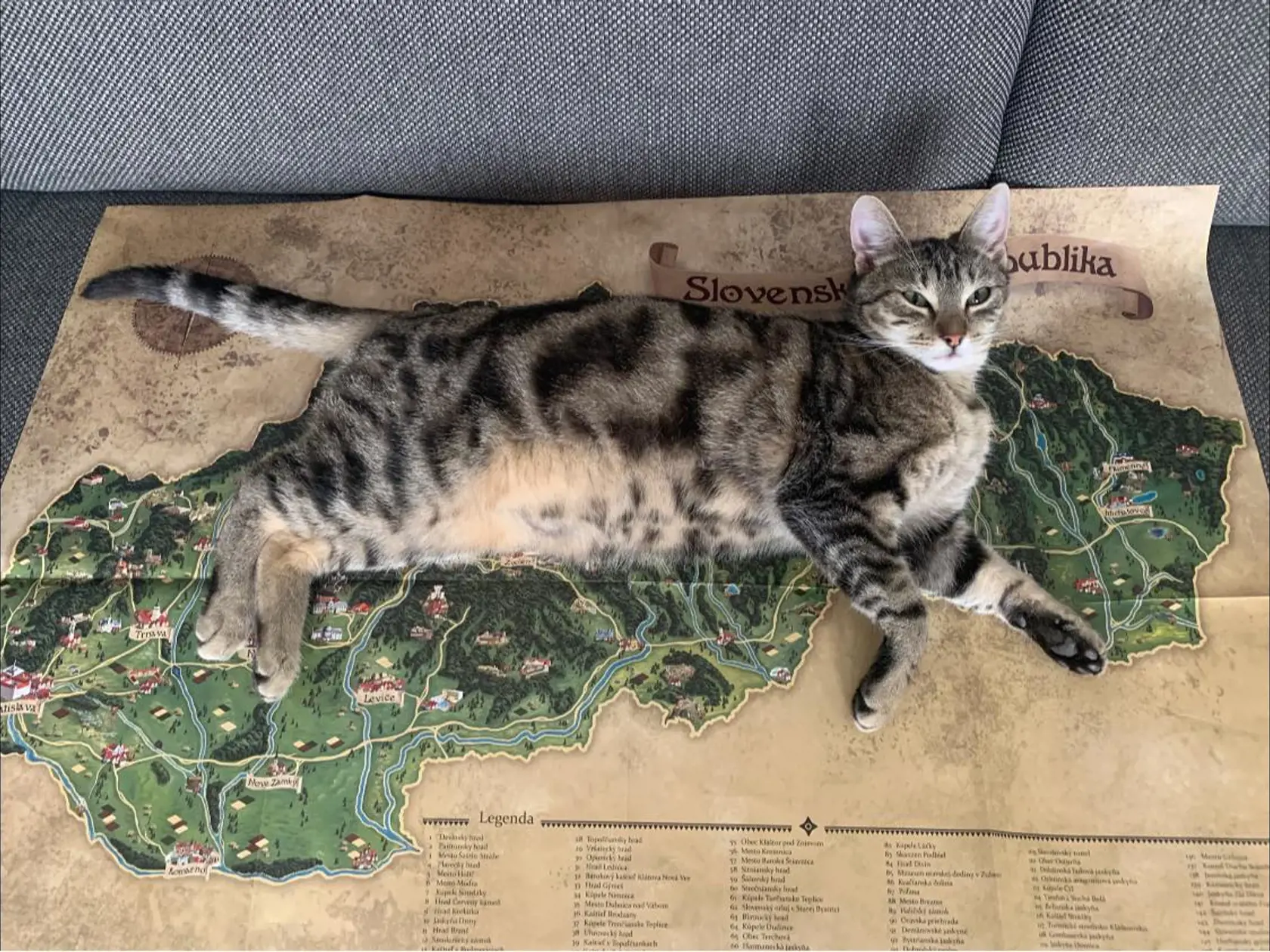 "Náš nový najdúch … najradšej sa natiahne tam, kde by ste ju vôbec nečakali. Tentokrát na mapu k puzzle o Slovensku,) … nuž, Slovensko miluje," napísal Igor Matovič.