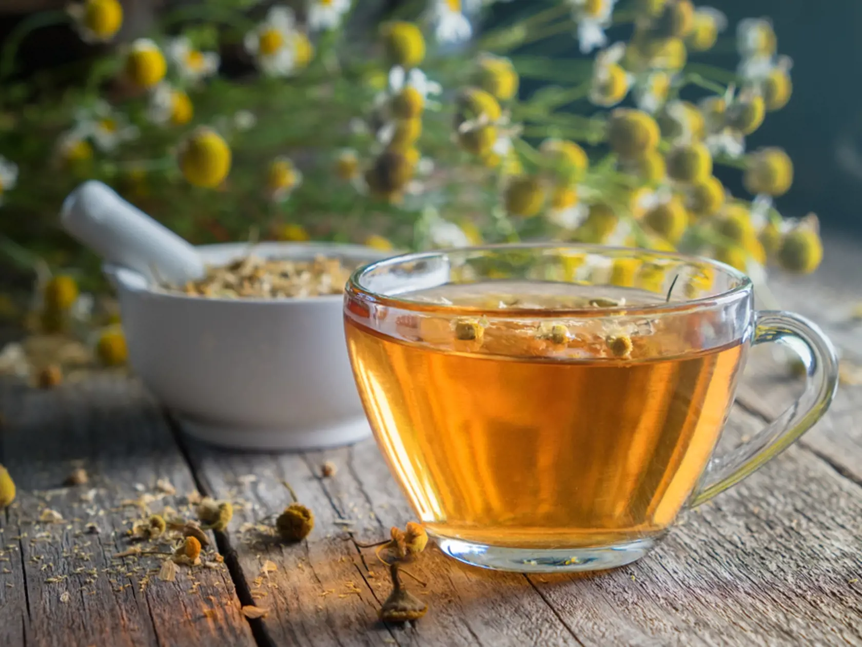 Healthy,Chamomile,Tea,Or,Infusion,,Mortar,And,Daisy,Herbs,On