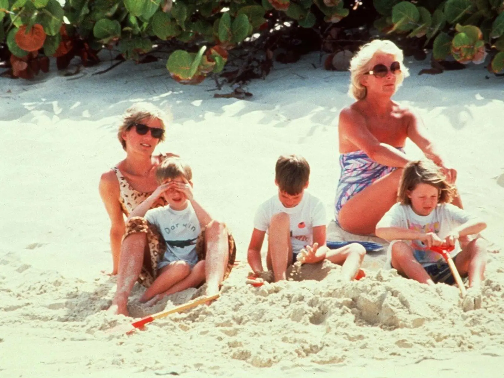 Princezná Diana, princ Harry a princ William