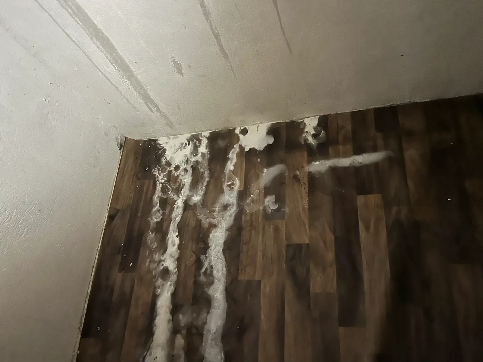 Vedľajšia miestnosť zas vzbudzuje mimoriadne nepríjemné pocity a veľa otázok. Vyzerá a pôsobí ako pivnica, zvnútra sú mreže a mraziaci box. Práve v nej mali omámiť, väzniť a mučiť podnikateľa Vladimíra Bachledu. V tesnej blízkosti sa tu mali pohybovať Černákove tigre, ktoré sa jednoduchým zdvihnutím kladky na dverách ľahko mohli dostať dnu.