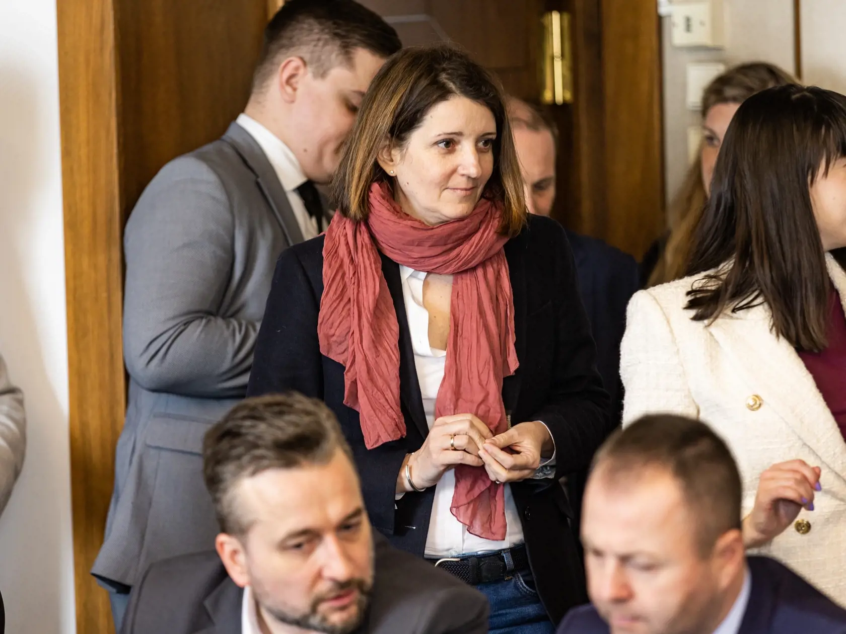 Zasadnutie výboru NR SR pre kultúru a médiá. Na snímke Jana Žitňanská.