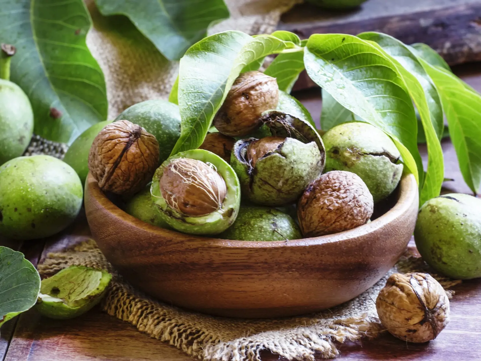 Fresh walnuts in a green shell