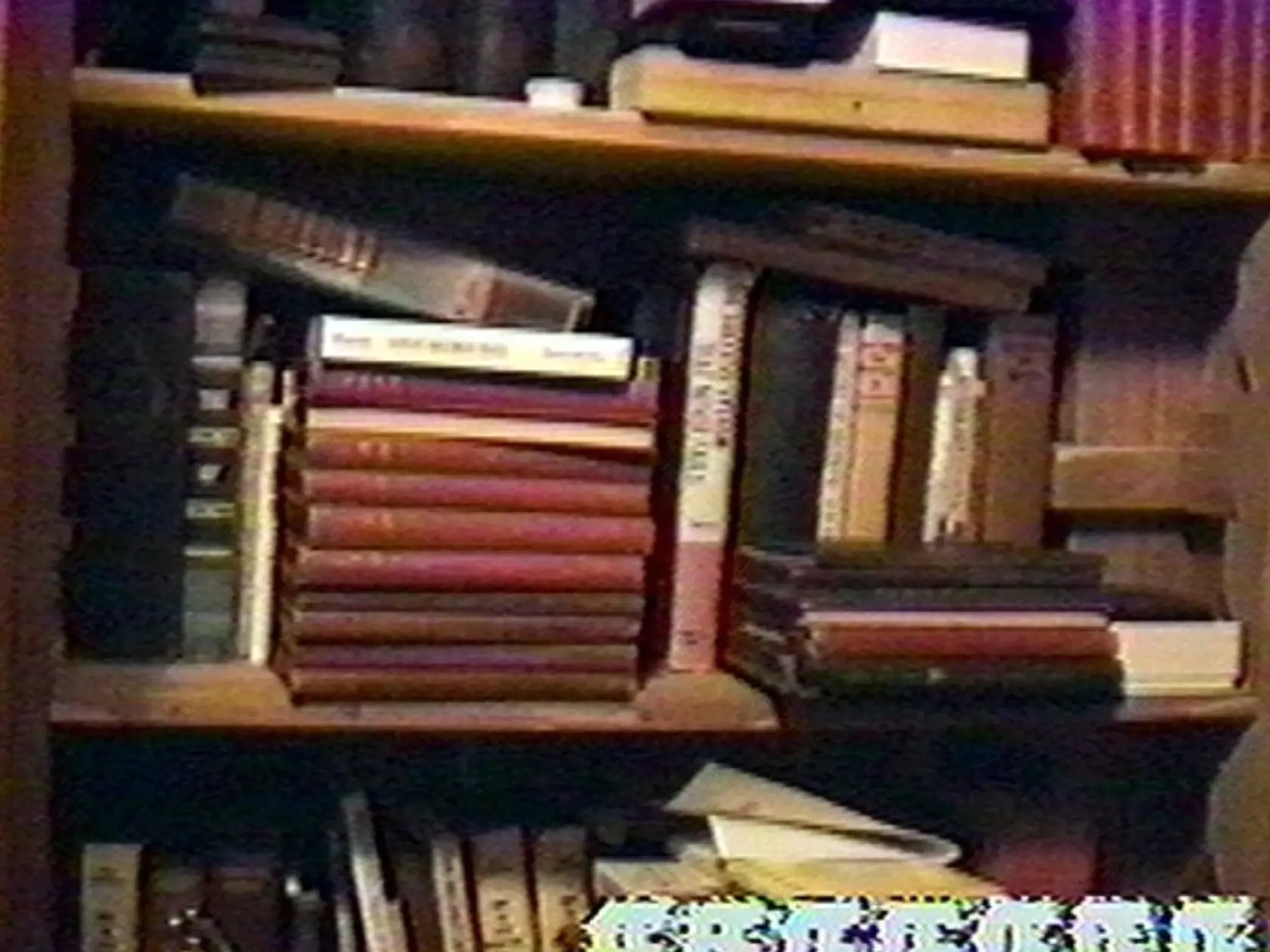 Sadomaso, mučenie detí či nahé fotografie dospievajúcich chlapcov. Aj tieto poklady si Michael prísne strážil.