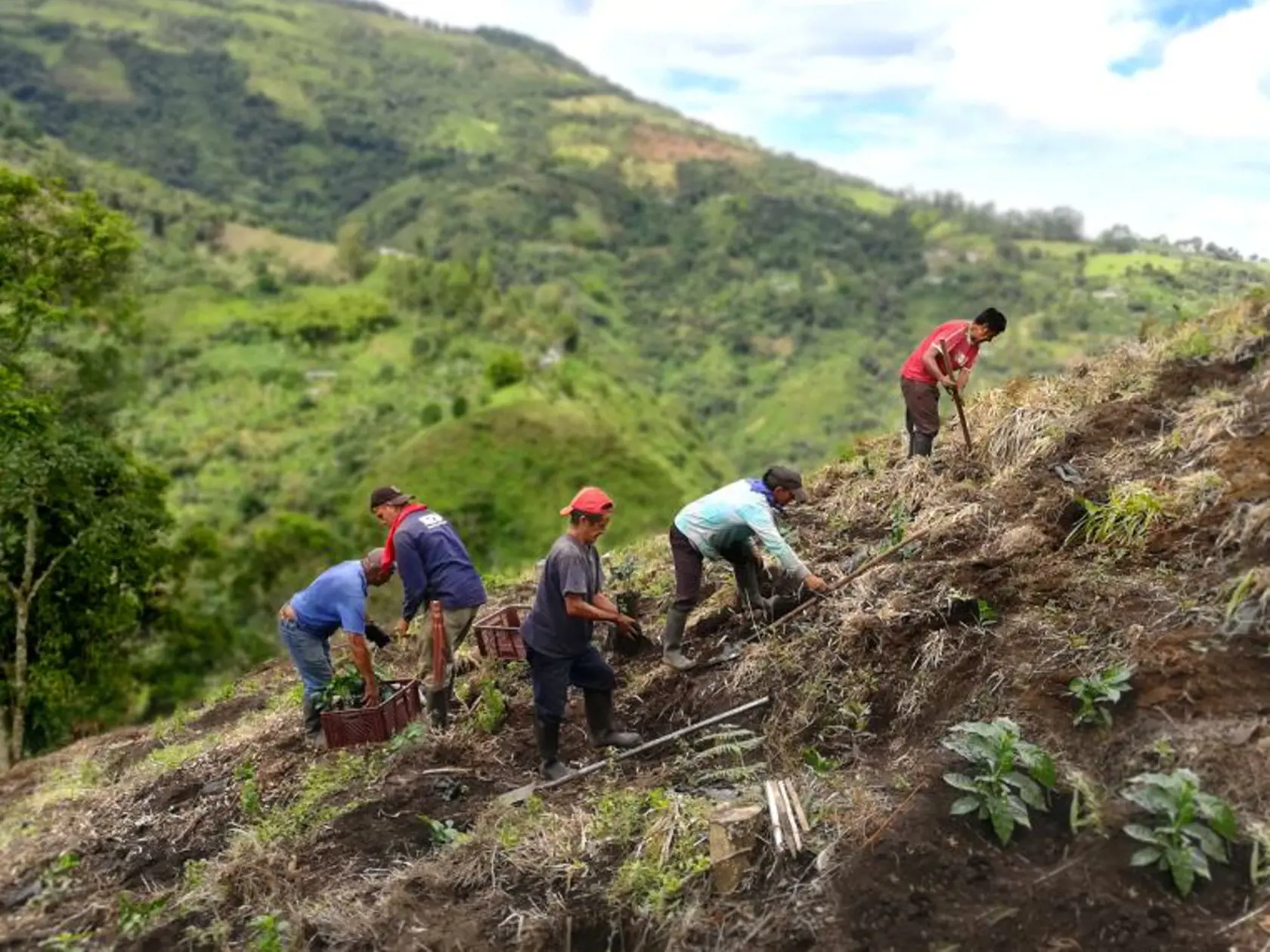 Master Origin Costa Rica je súčasťou širšej kolekcie káv Master Origin, ktorá zahŕňa kávu z hornatých častí pralesa na Sumatre či zrná z hlbokých údolí Nikaraguy.
