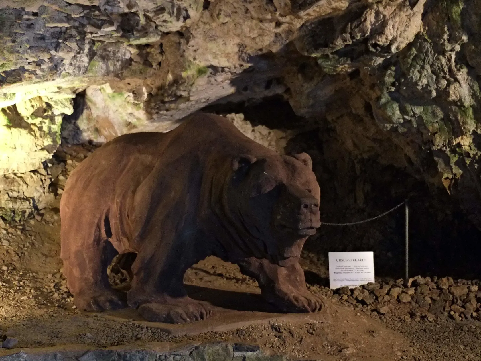 Važecká jaskyňa sa nachádza sa v doline Bieleho Váhu na severnom okraji Nízkych Tatier v pohorí Kozie chrbty, pri obci Važec, vo výške 784 m n. m.