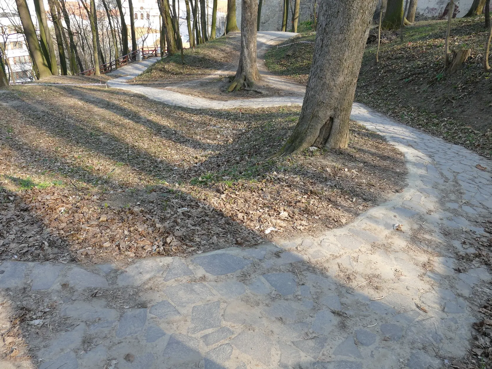 V Trenčíne si pripravili pre vozíčkarov nevšedný zážitok. Takú jazdu nikde inde nezažijú!