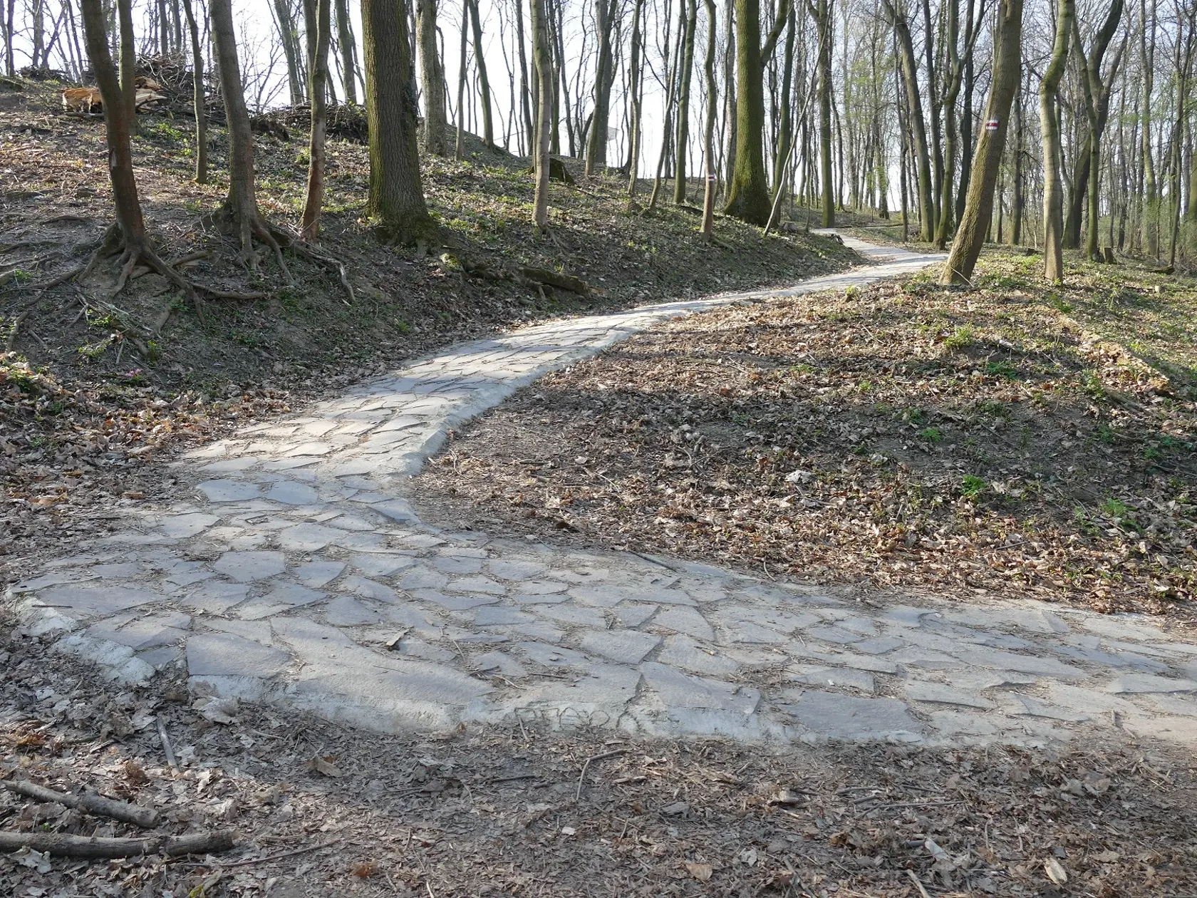 V Trenčíne si pripravili pre vozíčkarov nevšedný zážitok. Takú jazdu nikde inde nezažijú!