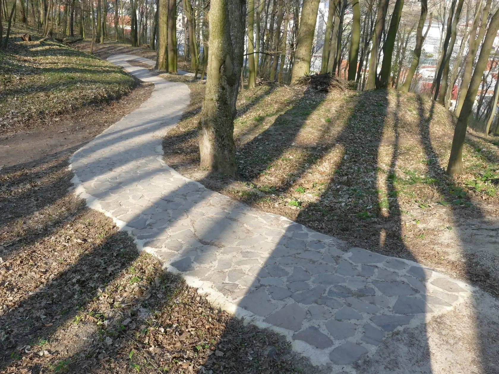V Trenčíne si pripravili pre vozíčkarov nevšedný zážitok. Takú jazdu nikde inde nezažijú!