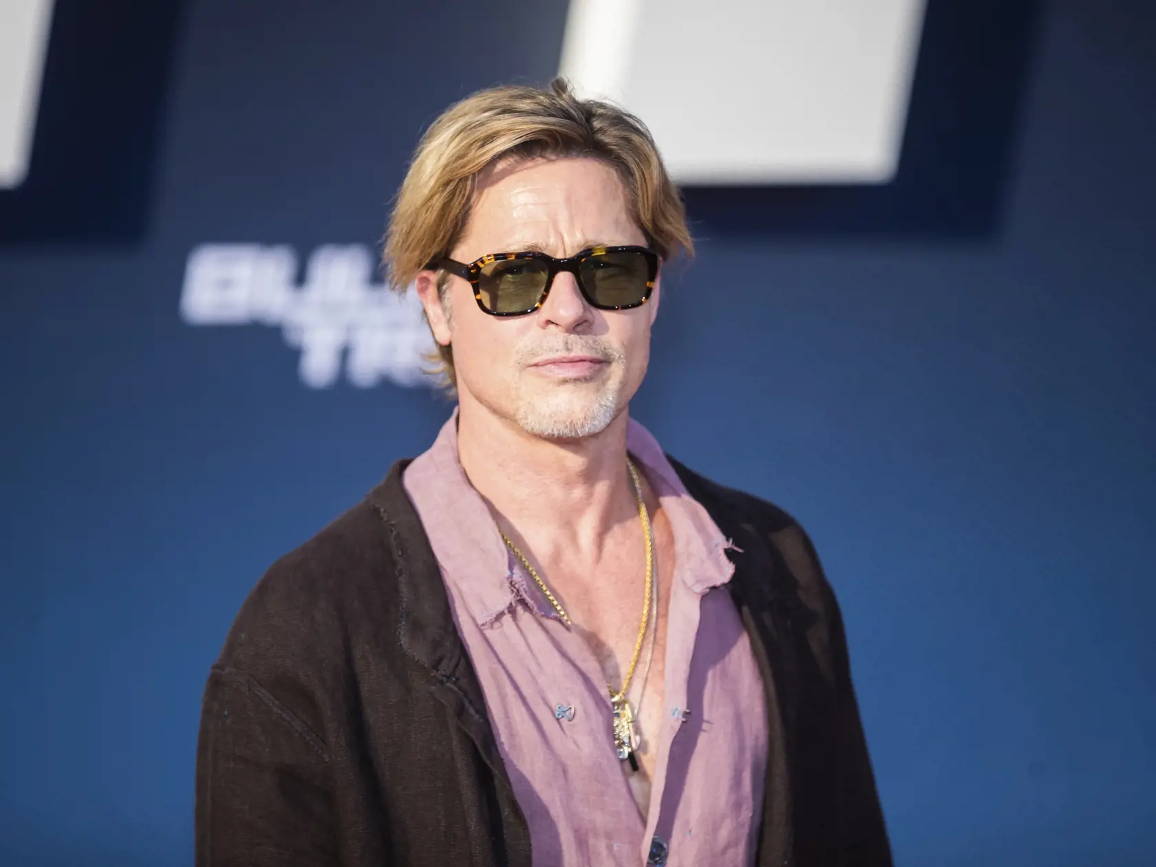 Otcom detí Angeliny Jolie je Brad Pitt, s ktorým sa rozviedli. Ich majetkové vyrovnanie sa stále ťahá.