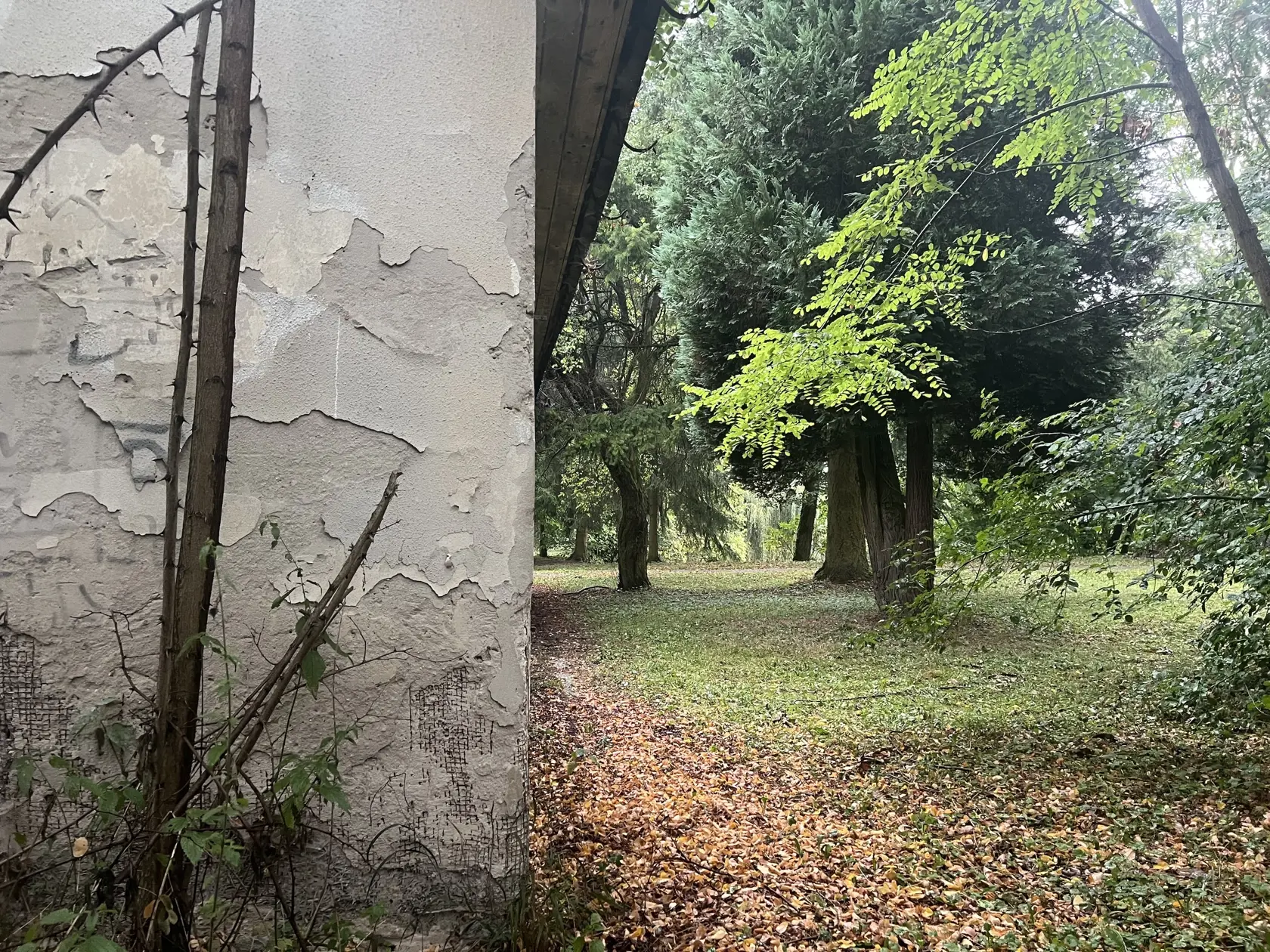 Hoci dnes miesto vyvoláva znepokojenie, samospráva má s týmto areálom veľké plány. S podporou Banskobystrického samosprávneho kraja tu totiž plánuje rozsiahlu revitalizáciu.