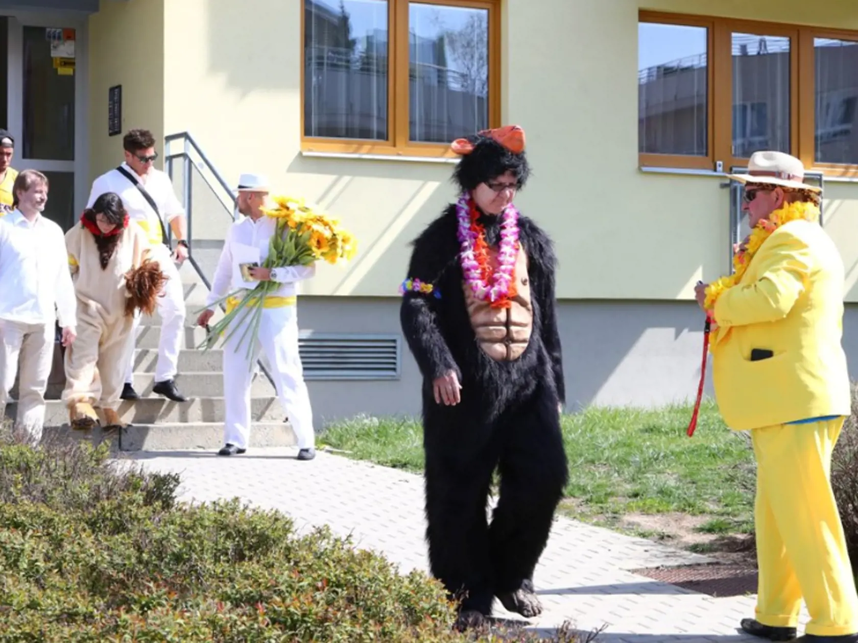 Pohreb Dana Nekonečného. Nechýba záplava žltej, samba tanečnice a havajské vence.