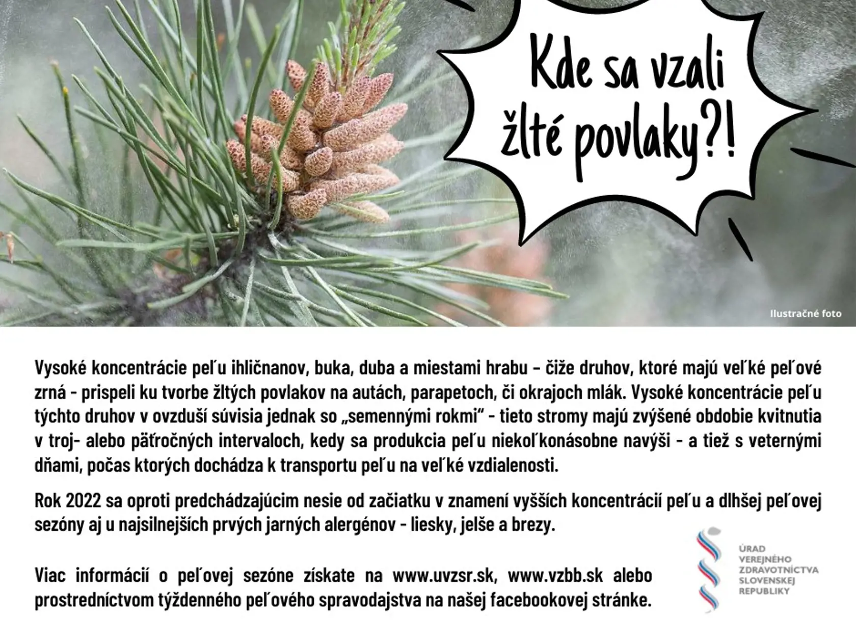 Peľová sezóna je tento rok silnejšia.