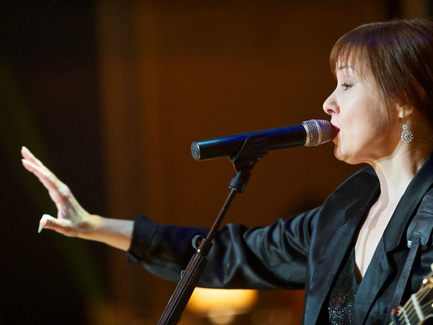 Suzanne Vega (2014)
